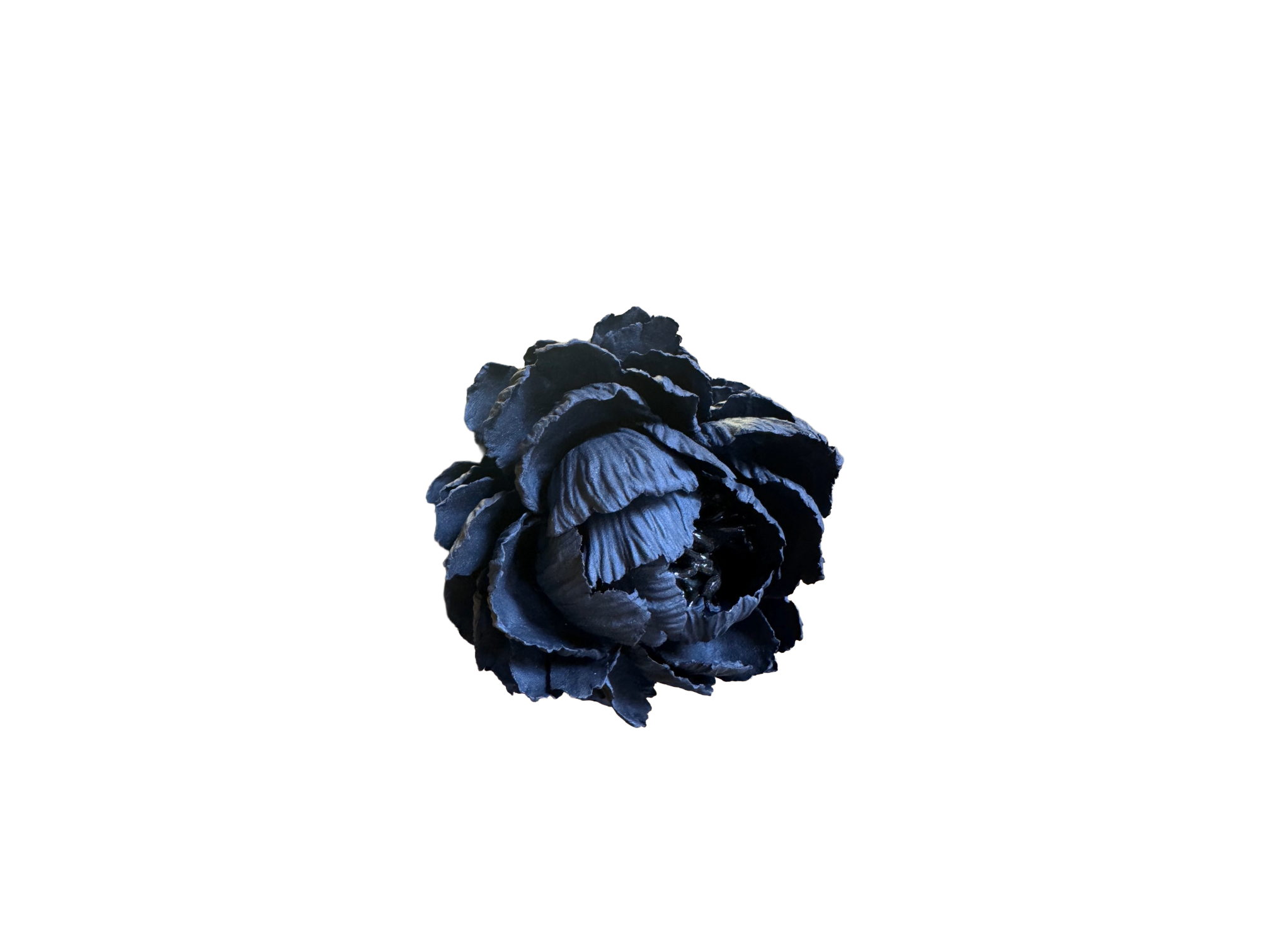 Remove background project - June 18, 2026 at 12.13.44-98.png