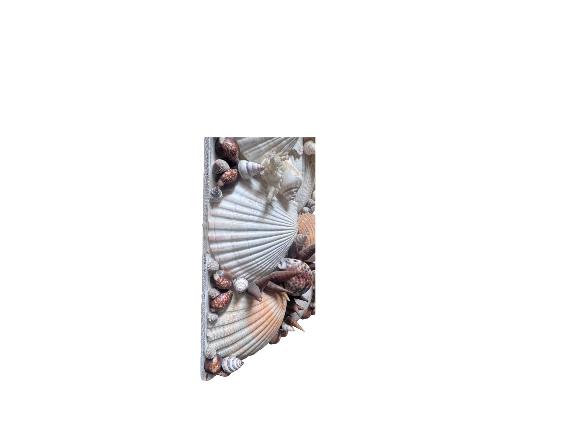 Remove background project - June 18, 2026 at 12.13.44-65.png
