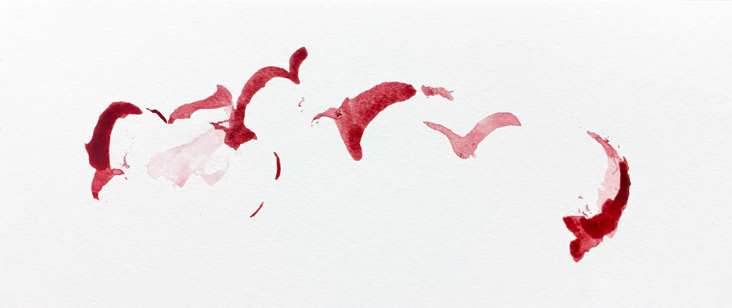 Carmine-by-Amanda-Leung-Art.jpg