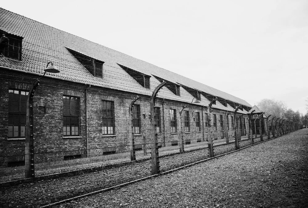 6 /&nbsp;I am like a pelican of the wilderness: I am like an owl of the desert.7&nbsp;/ I watch, and am as a sparrow alone upon the house top.