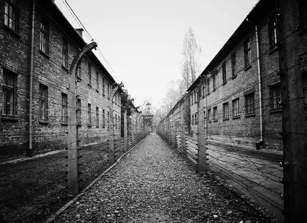 8 /&nbsp;Mine enemies reproach me all the day; and they that are mad against me are sworn against me.9&nbsp;/ For I have eaten ashes like bread, and mingled my drink with weeping.