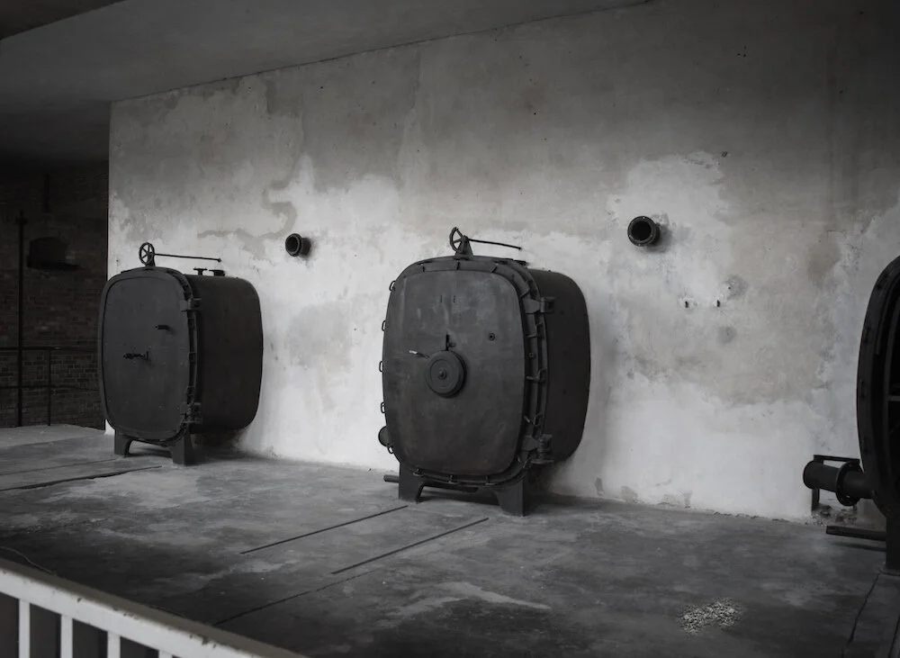 18&nbsp;/ This shall be written for the generation to come: and the people which shall be created shall praise the&nbsp;Lord.19&nbsp;/ For he hath looked down from the height of his sanctuary; from heaven did the&nbsp;Lord&nbsp;behold the earth;