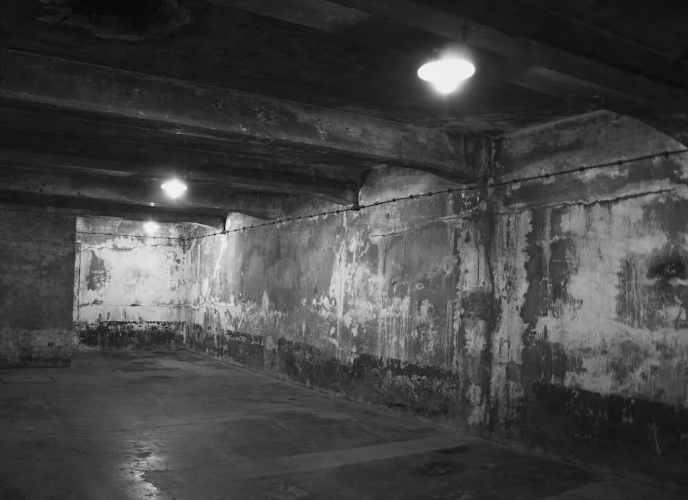 20&nbsp;/ To hear the groaning of the prisoner; to loose those that are appointed to death;21&nbsp;/ To declare the name of the&nbsp;Lord&nbsp;in Zion, and his praise in Jerusalem;