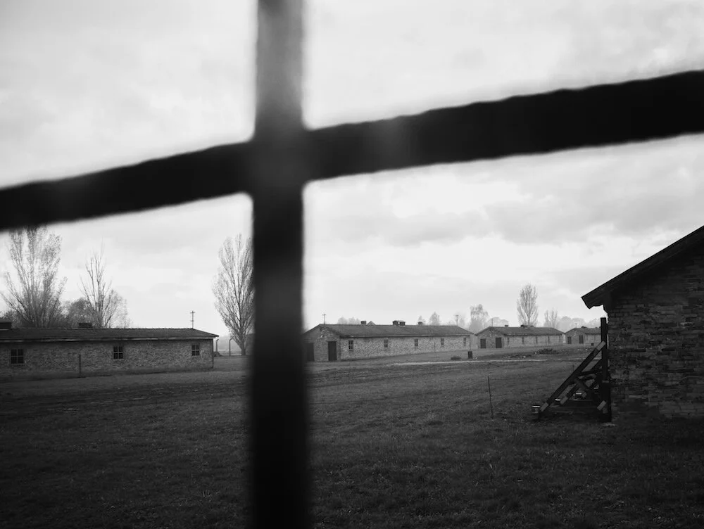 28 / The children of thy servants shall continue, and their seed shall be established before thee.