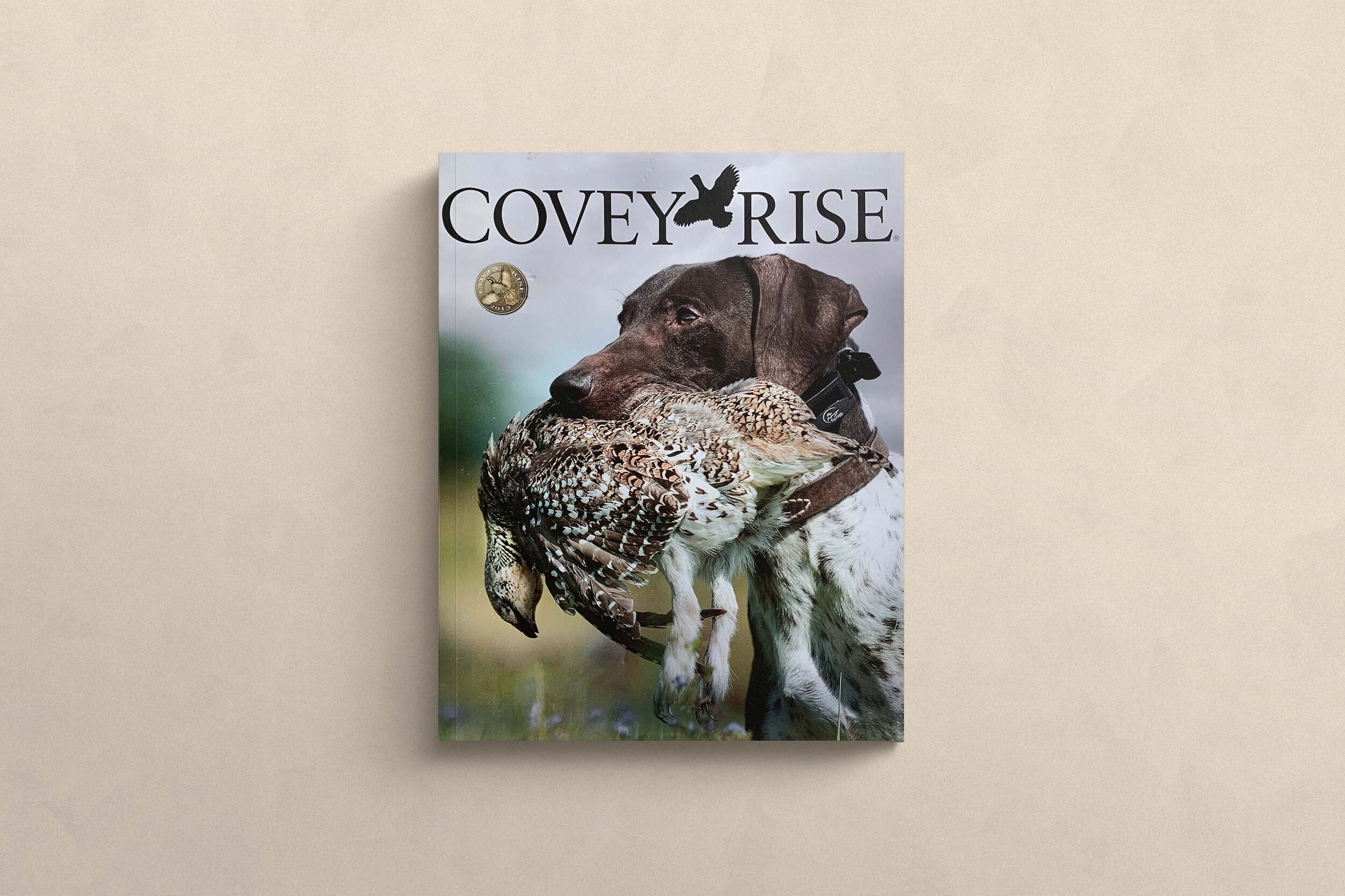 In-Praise-of-English-Pointers---Covey-Rise---Cover.jpg