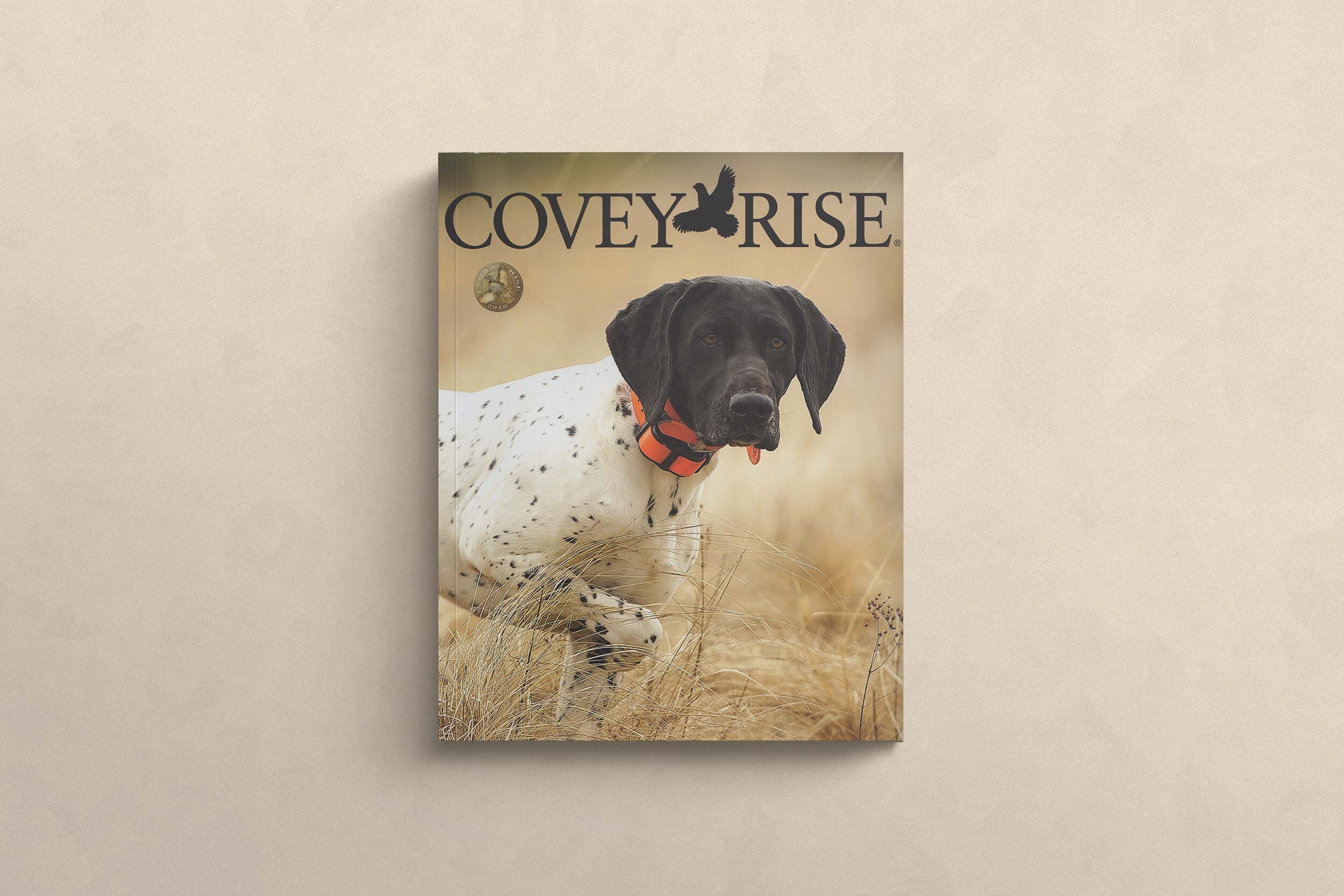 In-the-Rough-Hills-Covey-Rise-Cover.jpg