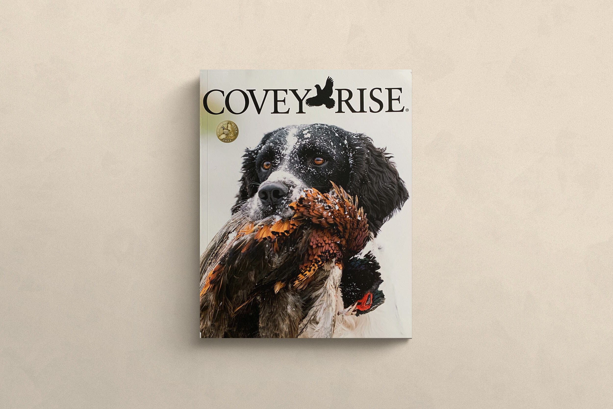 Perspective-Covey-Rise-Cover.jpg