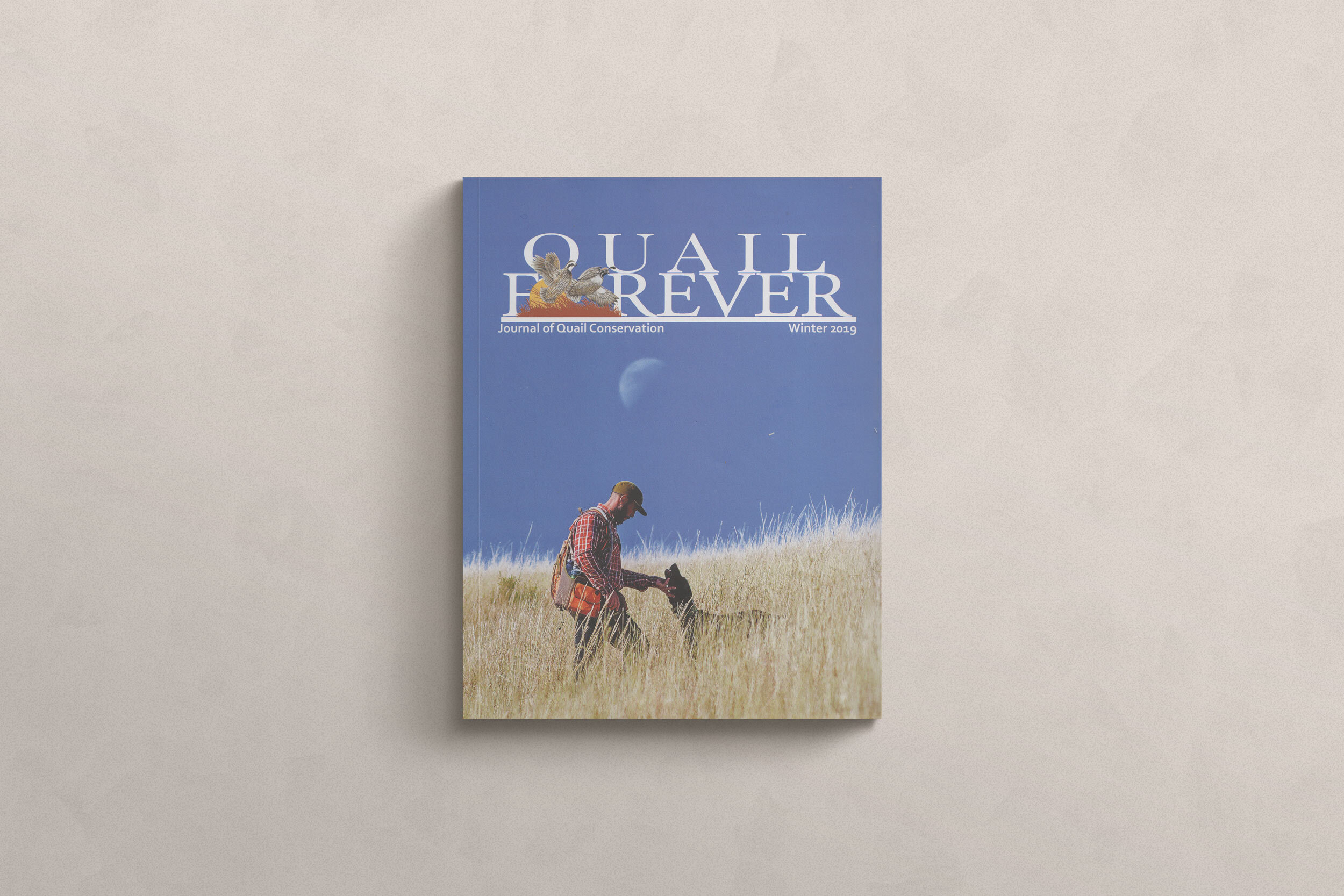 Feathers-and-Followers-in-Quail-Review-by-Reid-Bryant---cover.jpg