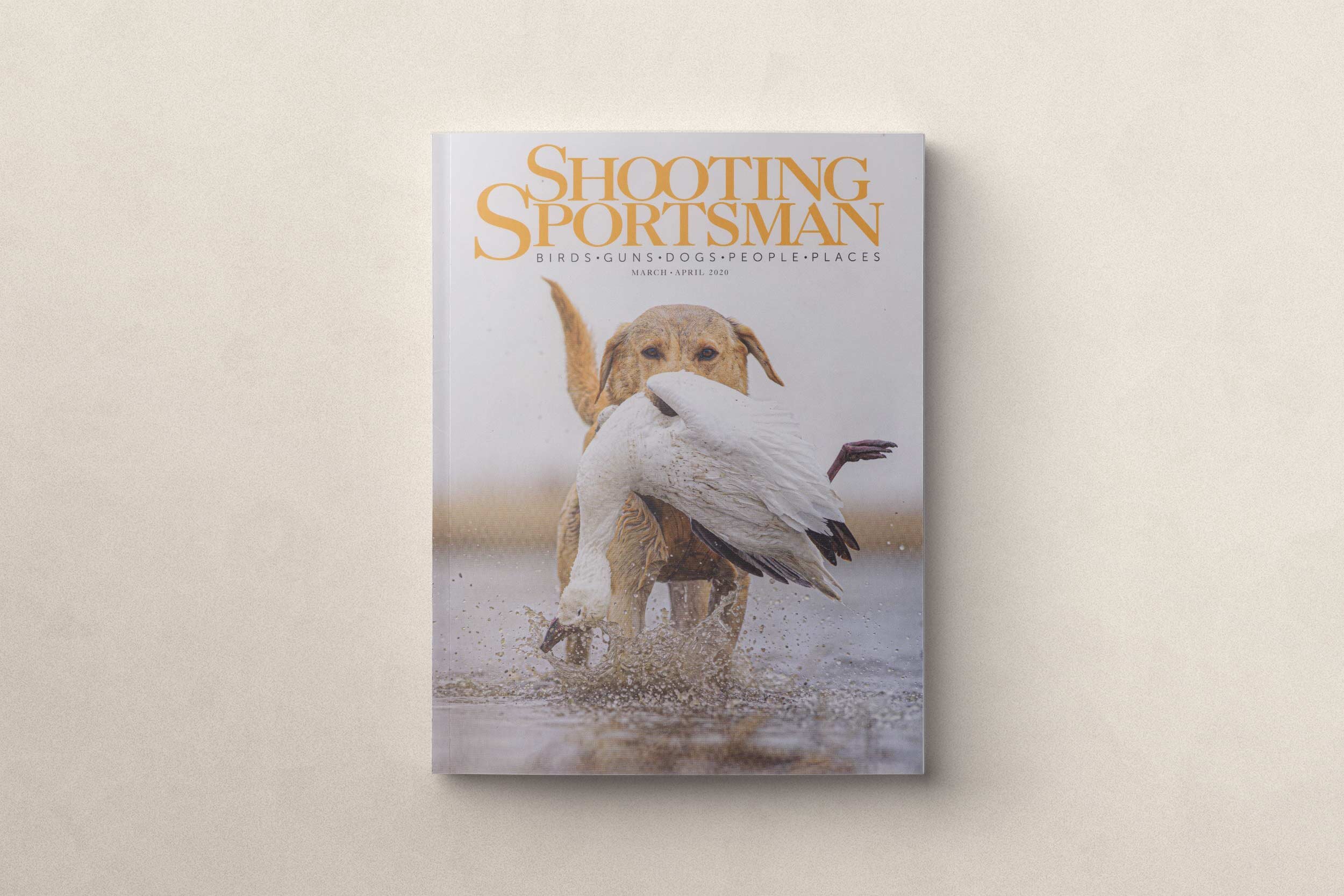 Hunting-Over-Other's-Dogs-Cover.jpg