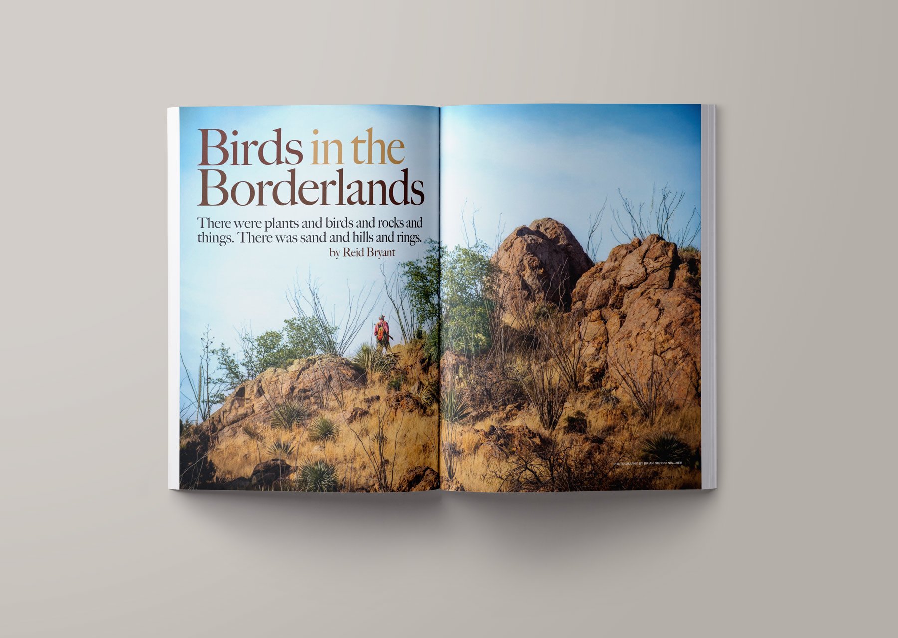 Birds-in-the-Borderland.jpg