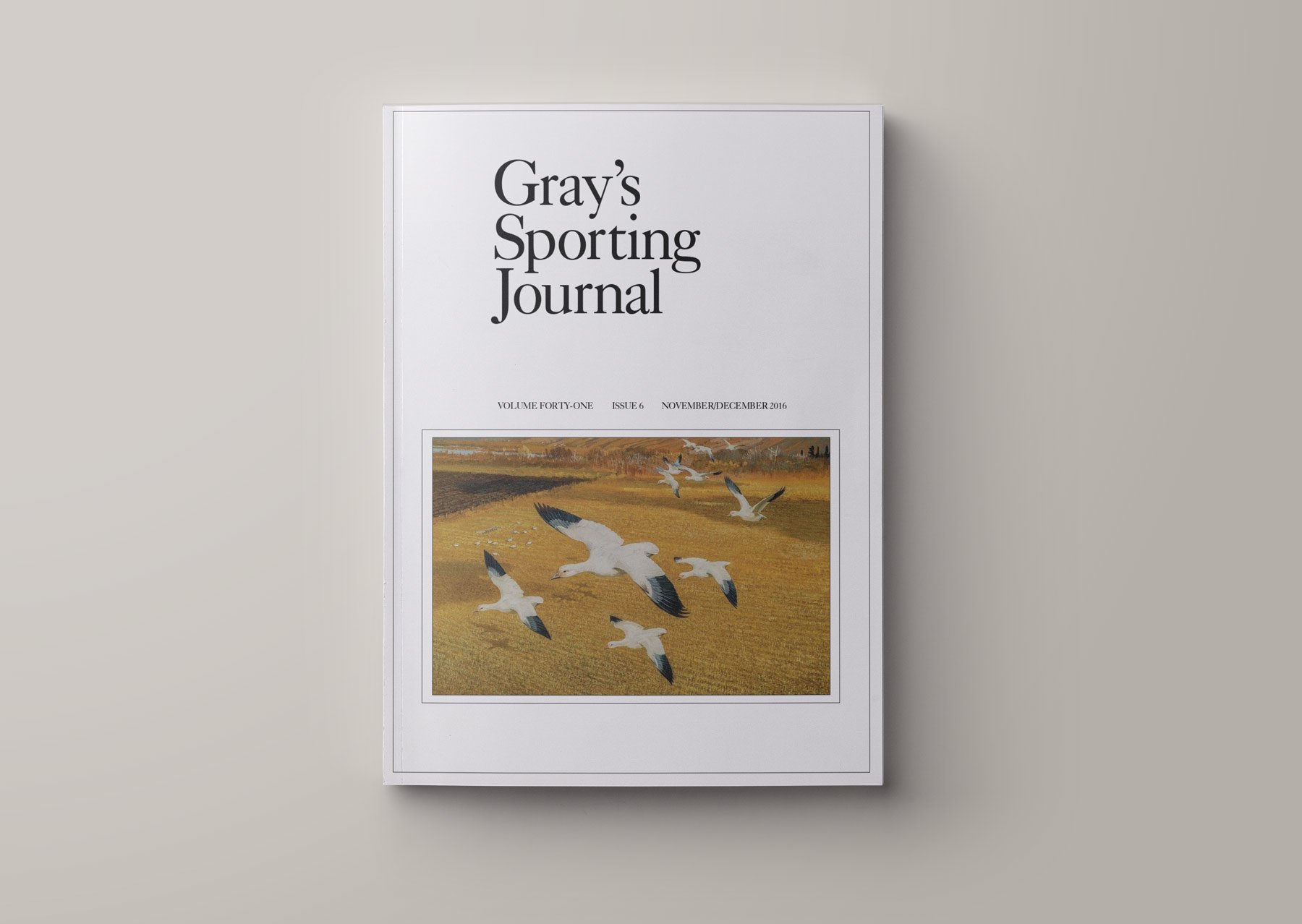 November-Morning-Cover.jpg