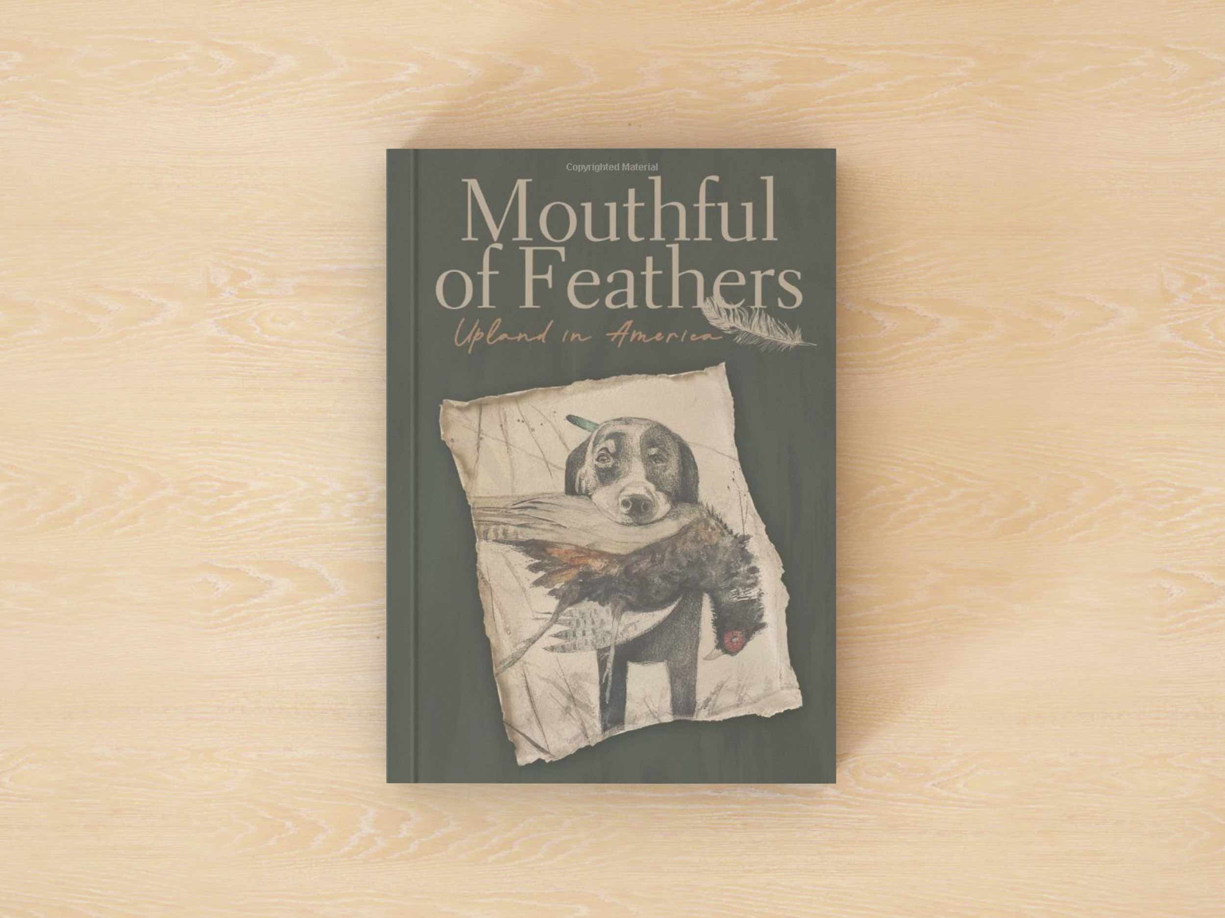 Mouthful-of-Feathers-banner-on-wood.jpg