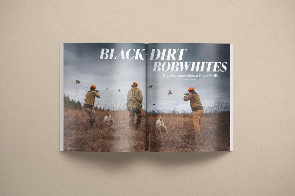 Black-Dirt-Bobwhites-spread.jpg