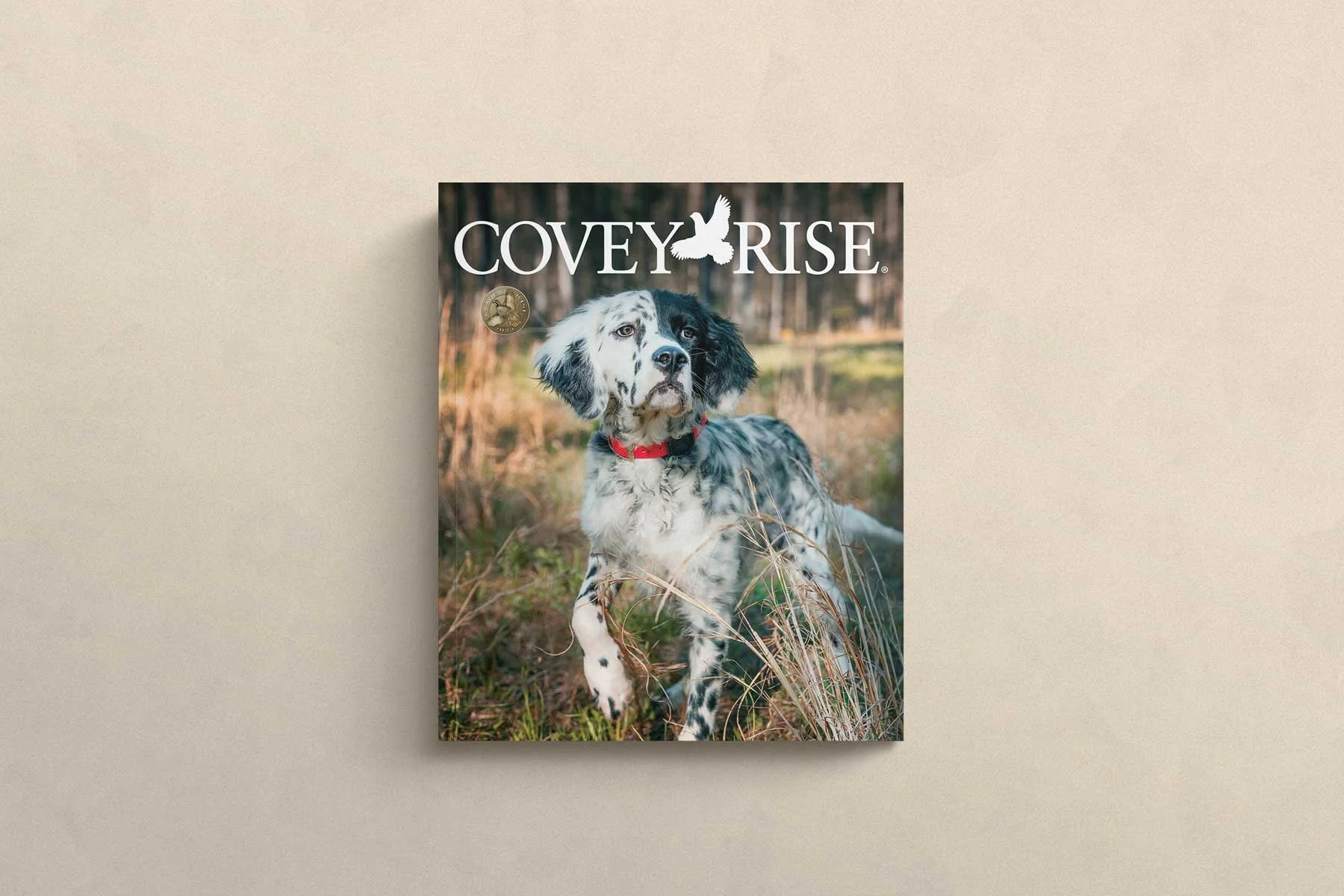 Covey-Place.jpg