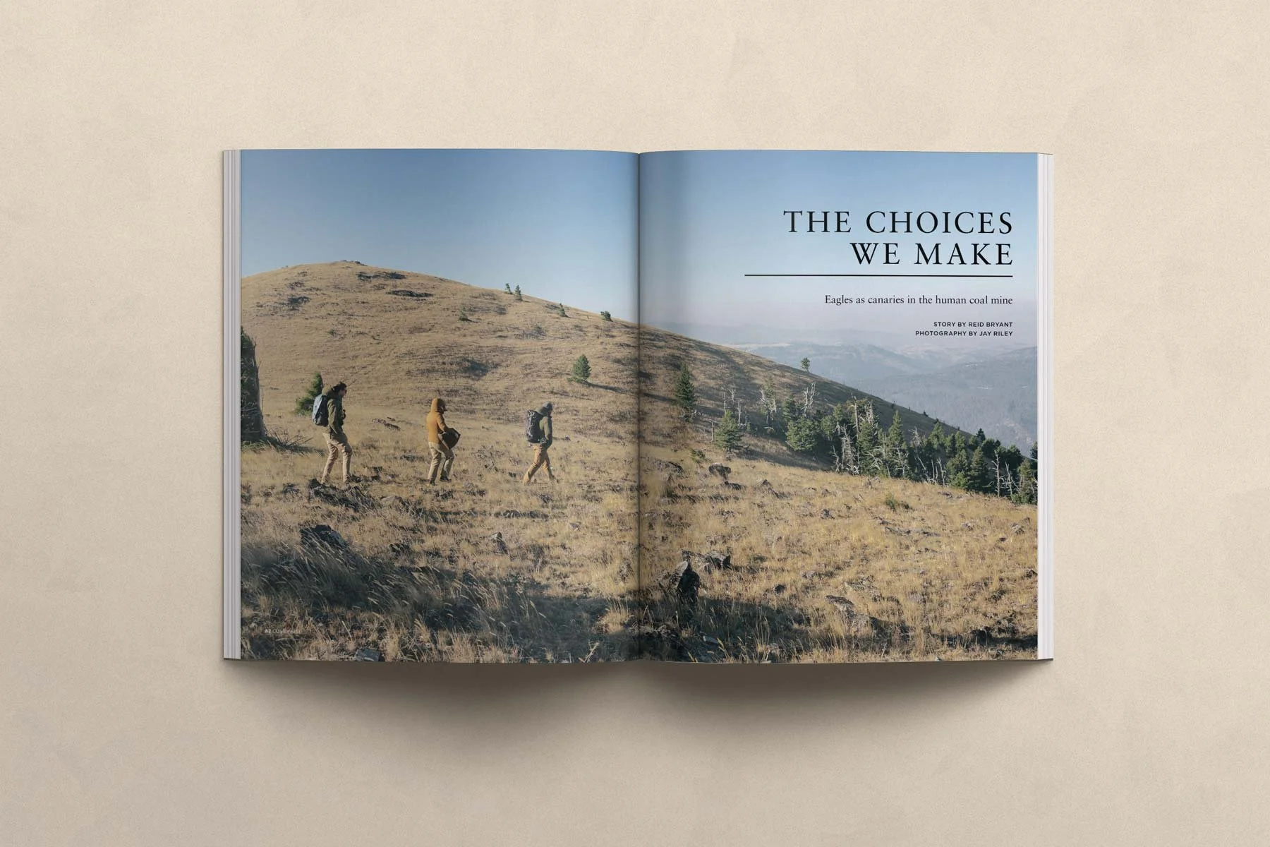 Covey-Rise-The-choices-we-make.jpg