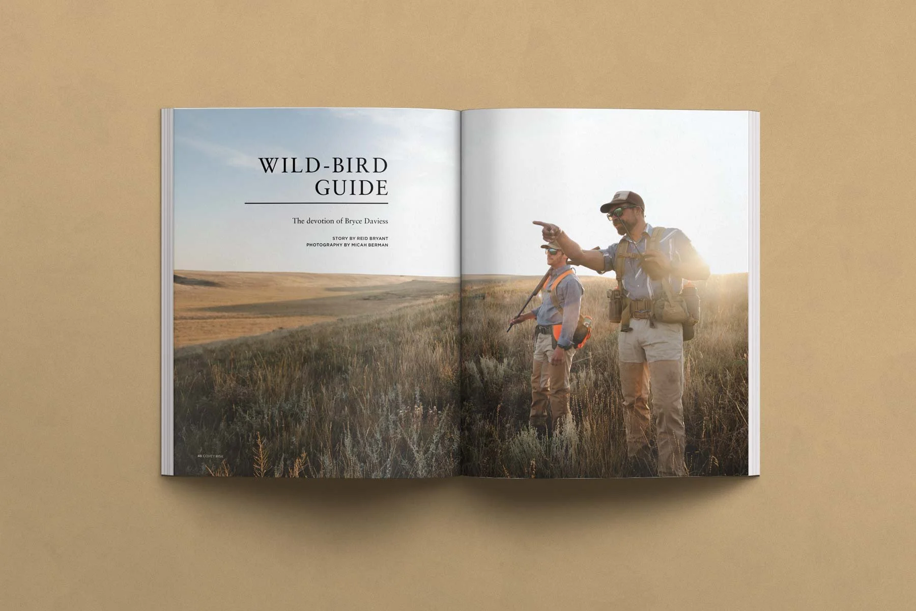 wild-bird-guide.jpg