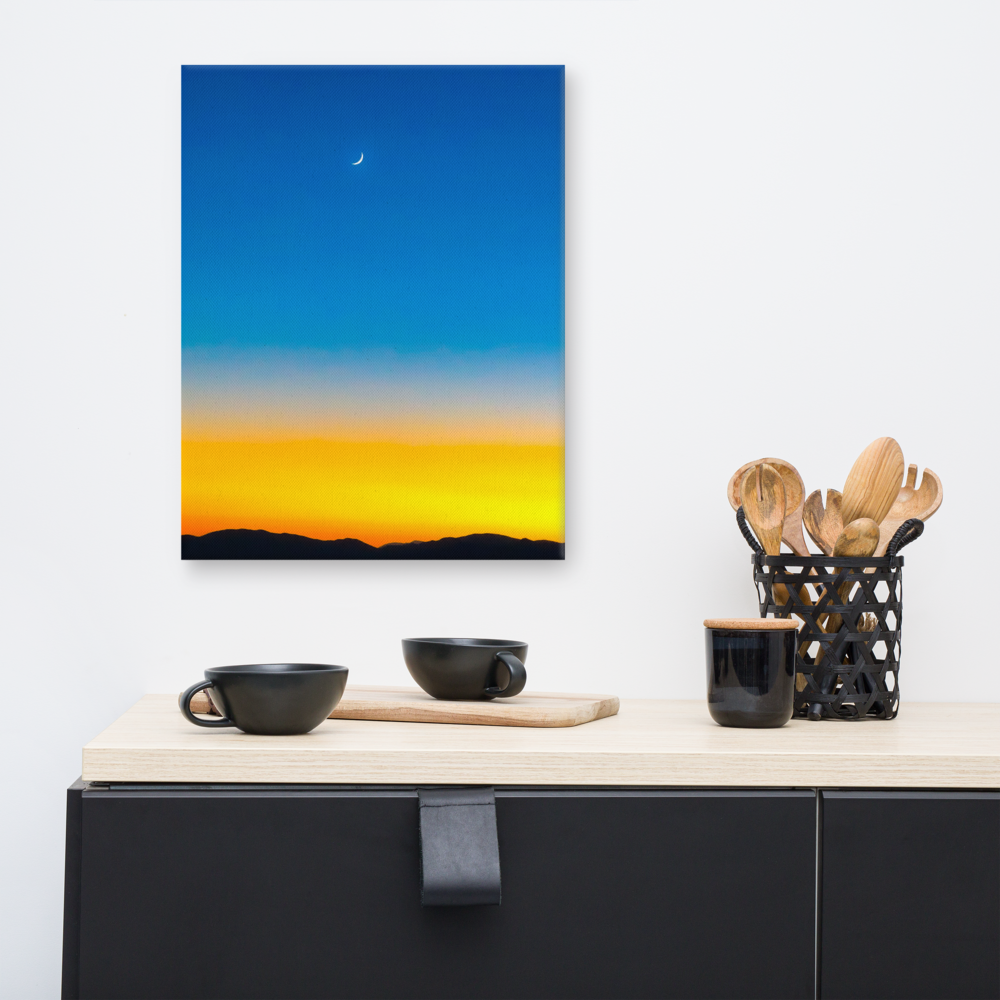 canvas-(in)-16x20-front-60e65f3e14e15.png