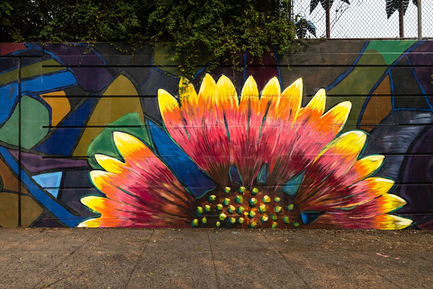 Movement Blooms from the Heart