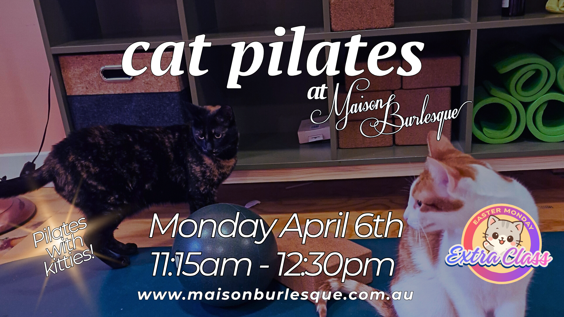 *EXTRA CLASS* Special Event Casual Class: Cat Pilates (Pilates with Kitties!)