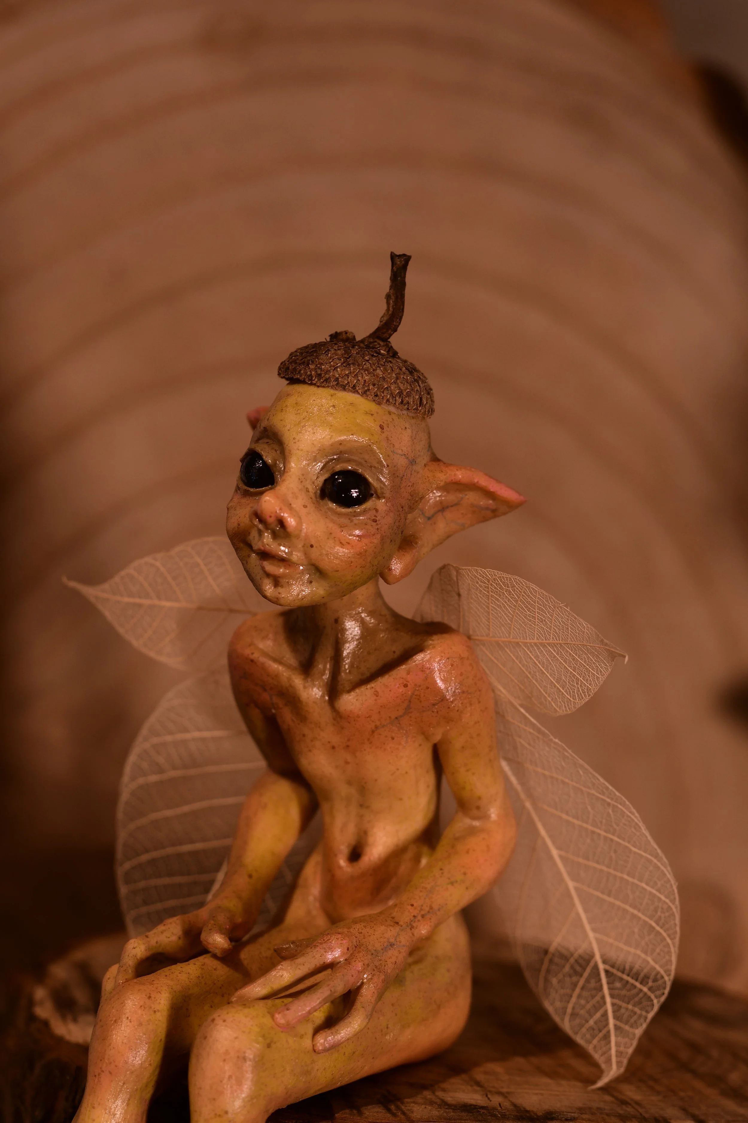 TFC_1209.JPG