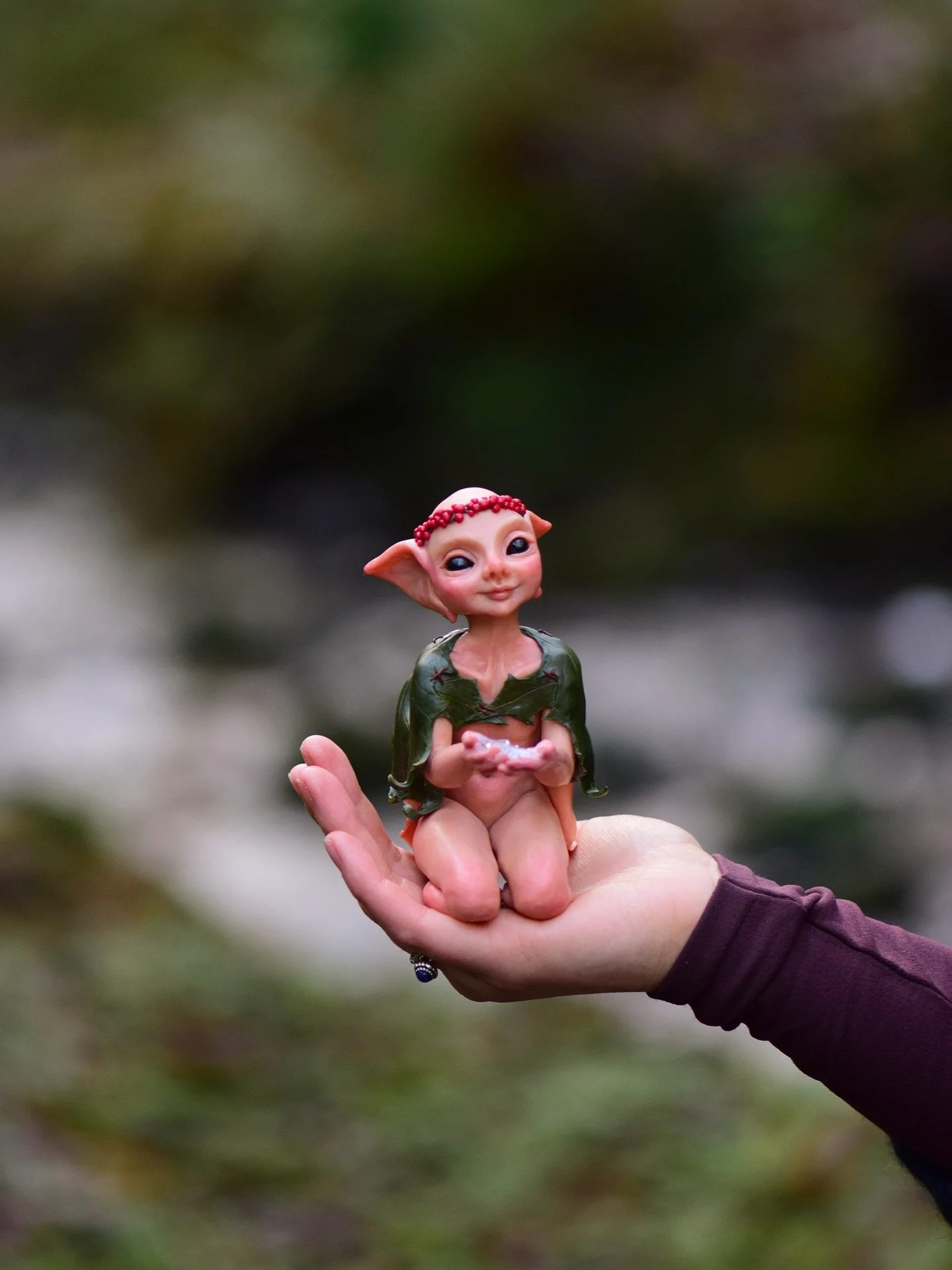 Eira the beautiful gentle snowflake Pixie is looking for a home 🖤