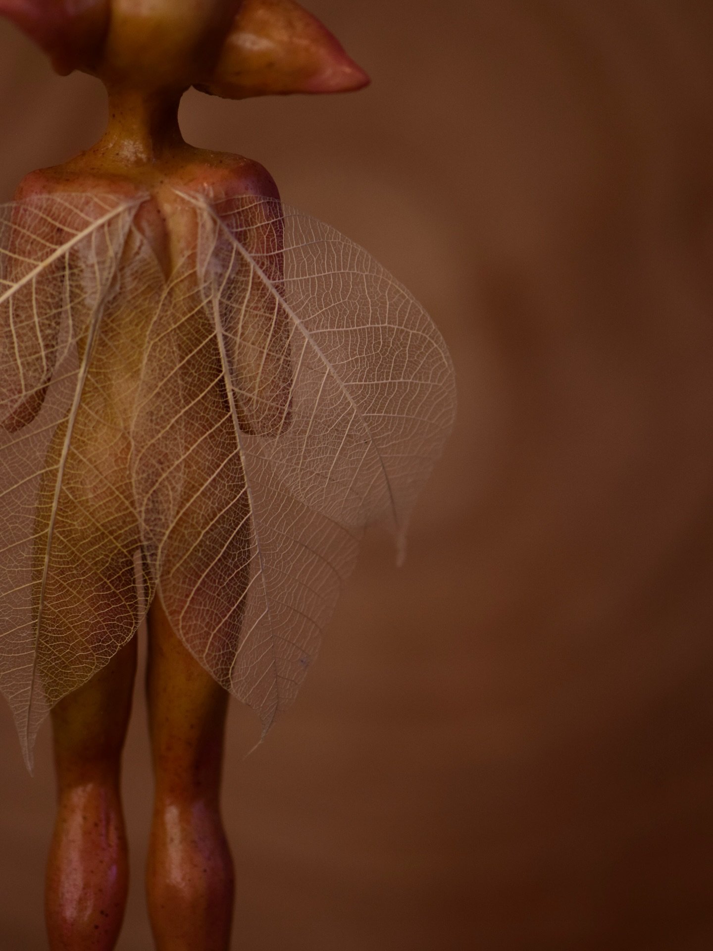 A sneak peek of the first Faerie to make her way into our realm 🍃
Are you ready to meet her and other Faeries? 🧚🏻🍃