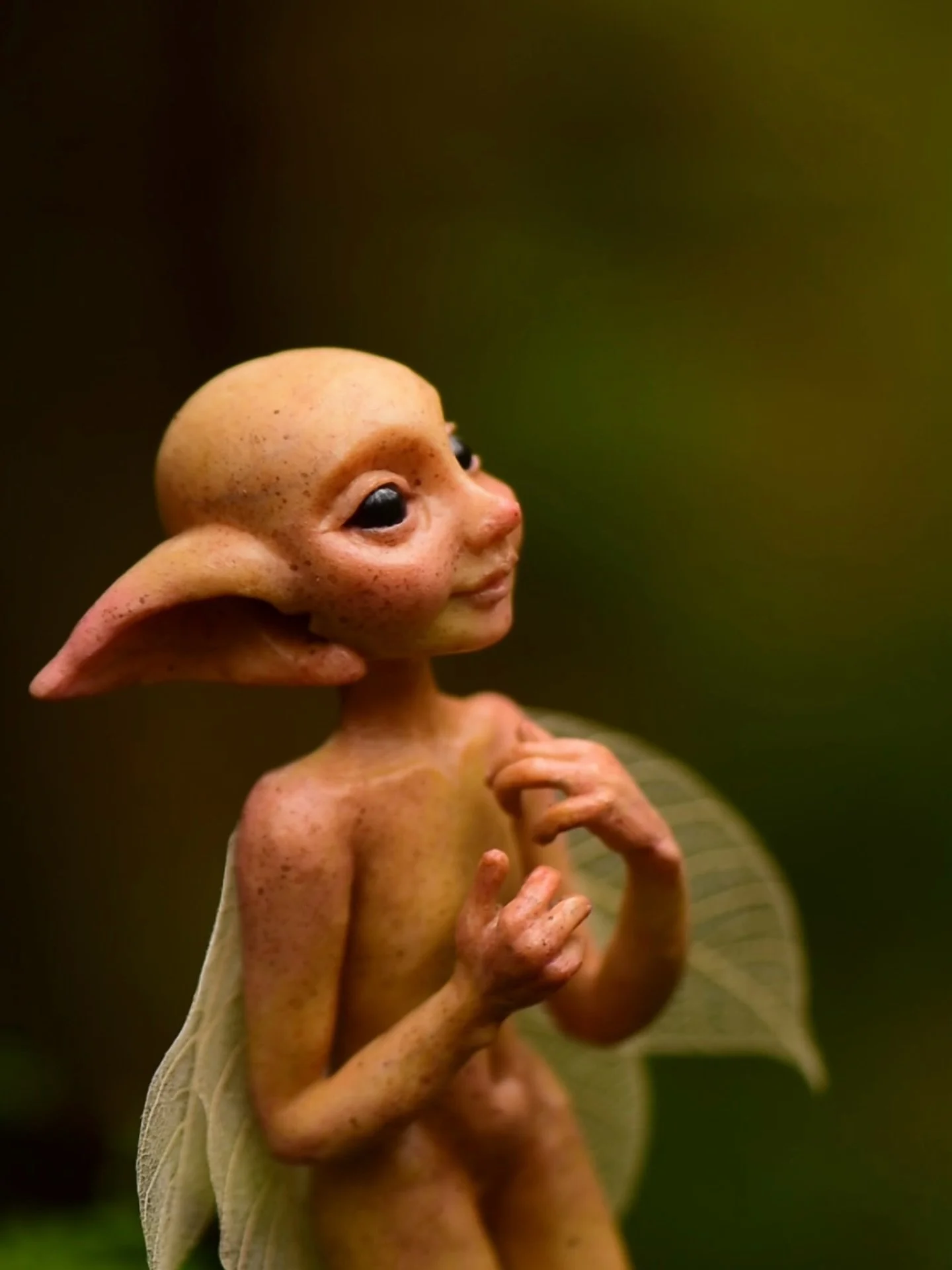 Una, my favourite little Faerie, is looking for a home 🖤