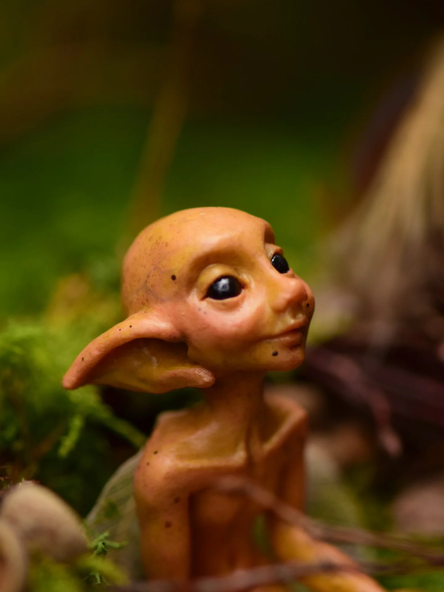 Nula rarely wanders far from her nest, maybe only to venture out to collect some of her favourite things to decorate with.
From its safe and comfortable cradle she watches the world with wonder, clouds drifting, leaves dancing, and beetles marching t