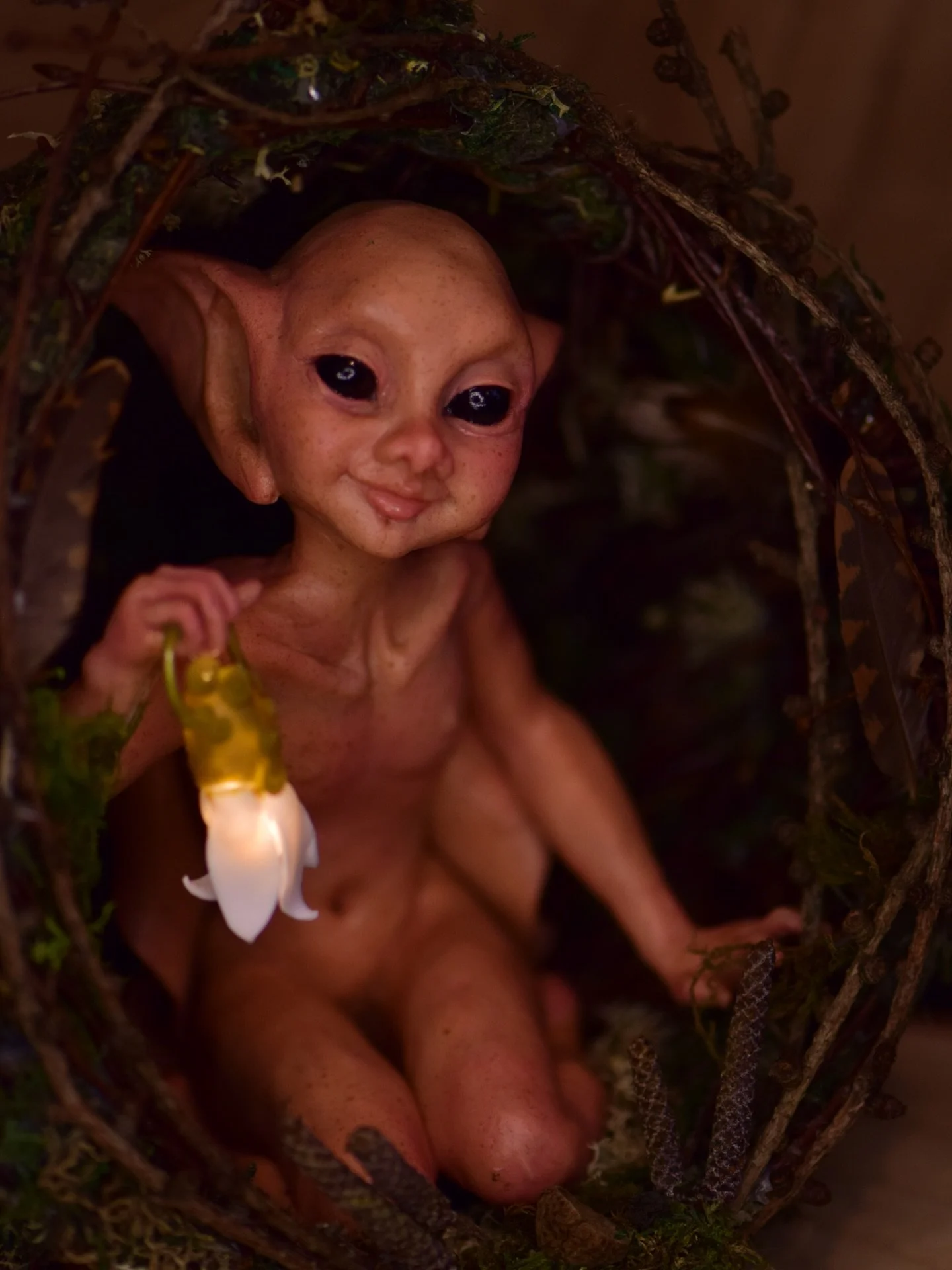 Eirlys the beautiful Pixie is looking for a home 🤍
Her name is Eirlys which means Snowdrop in Welsh 🏴󠁧󠁢󠁷󠁬󠁳󠁿