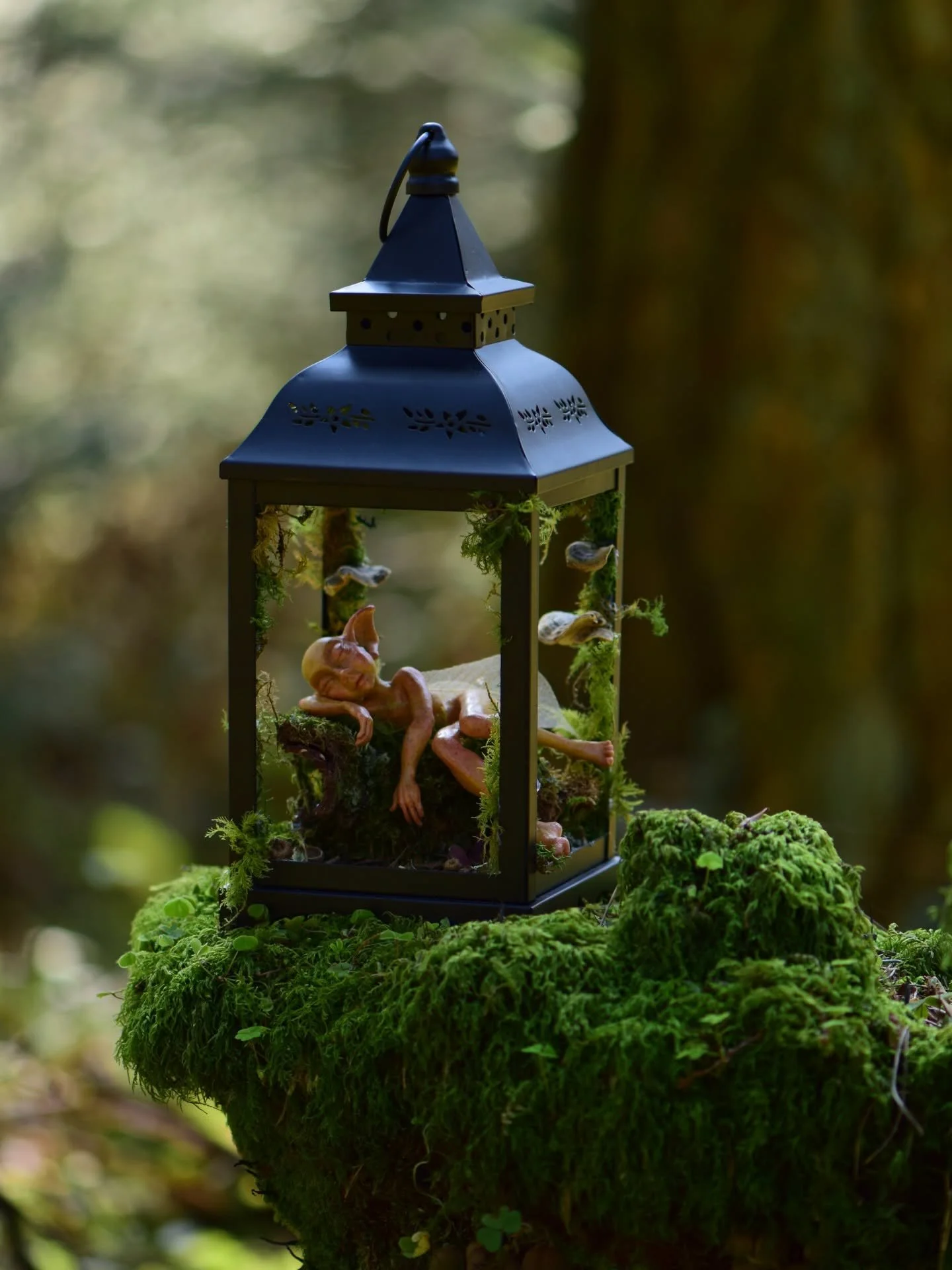 The many details of Lowri and her Lantern home 🖤 I could stare at it all day 🖤

Lowri is still looking for a loving home on my website 🖤 here is her story: 

When Lowri grows weary of wandering the forest paths, she returns to the old lantern that
