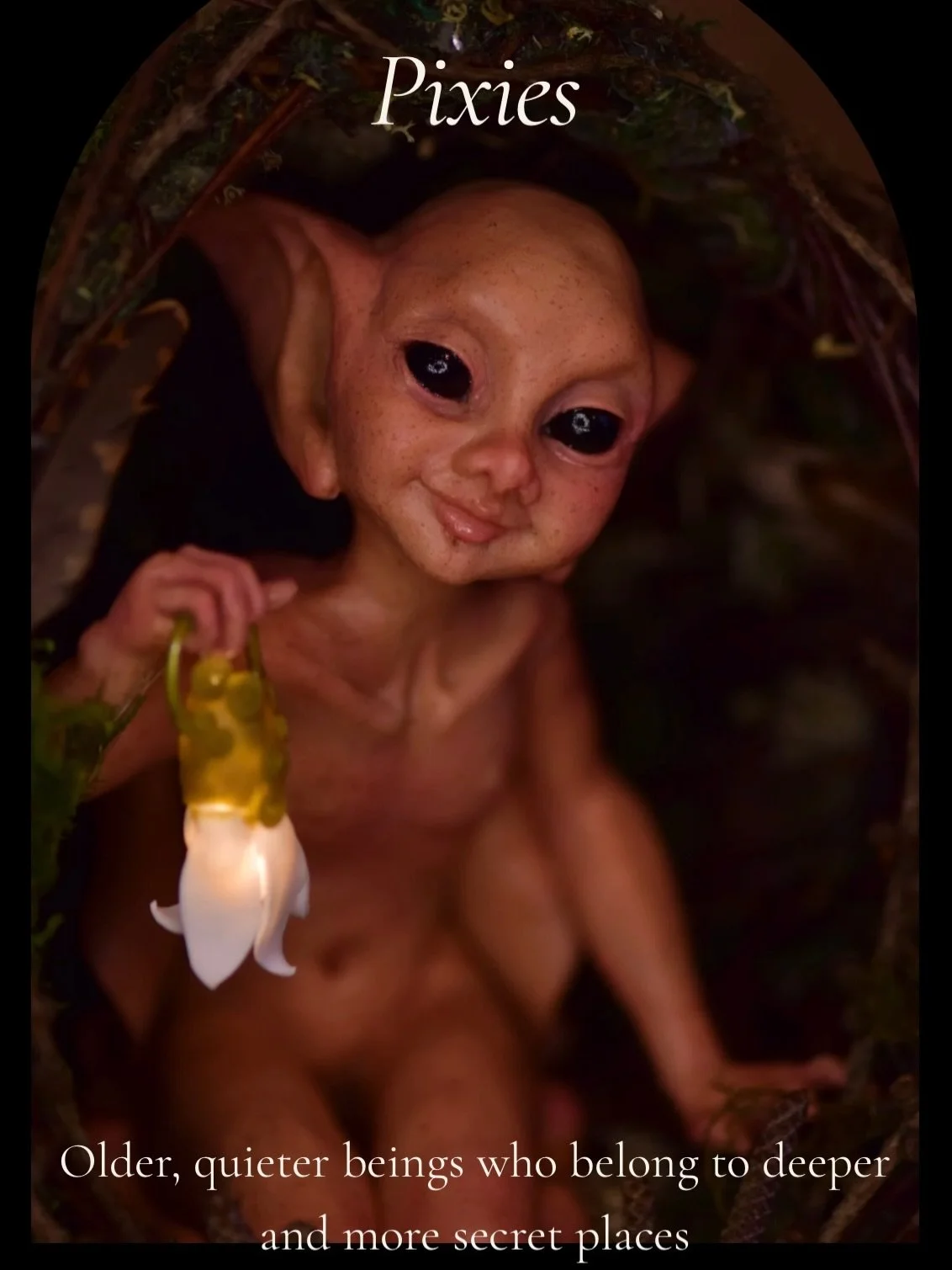 What beings would you like to meet more of next? 🖤 Let me know below! ⬇️ 🧚🏻🖤