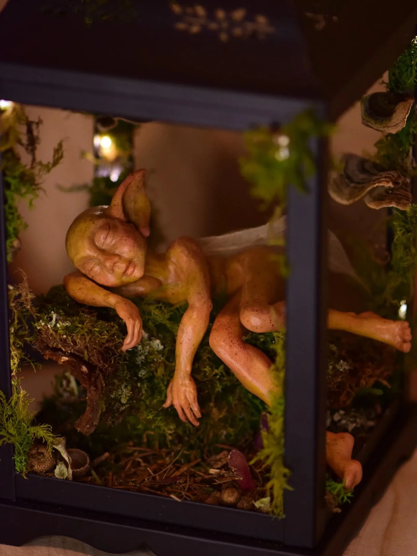 Lowri has recently been adopted and I&rsquo;m endlessly grateful to every person who chooses to give a Forest Child a loving home 🧚🏻🖤