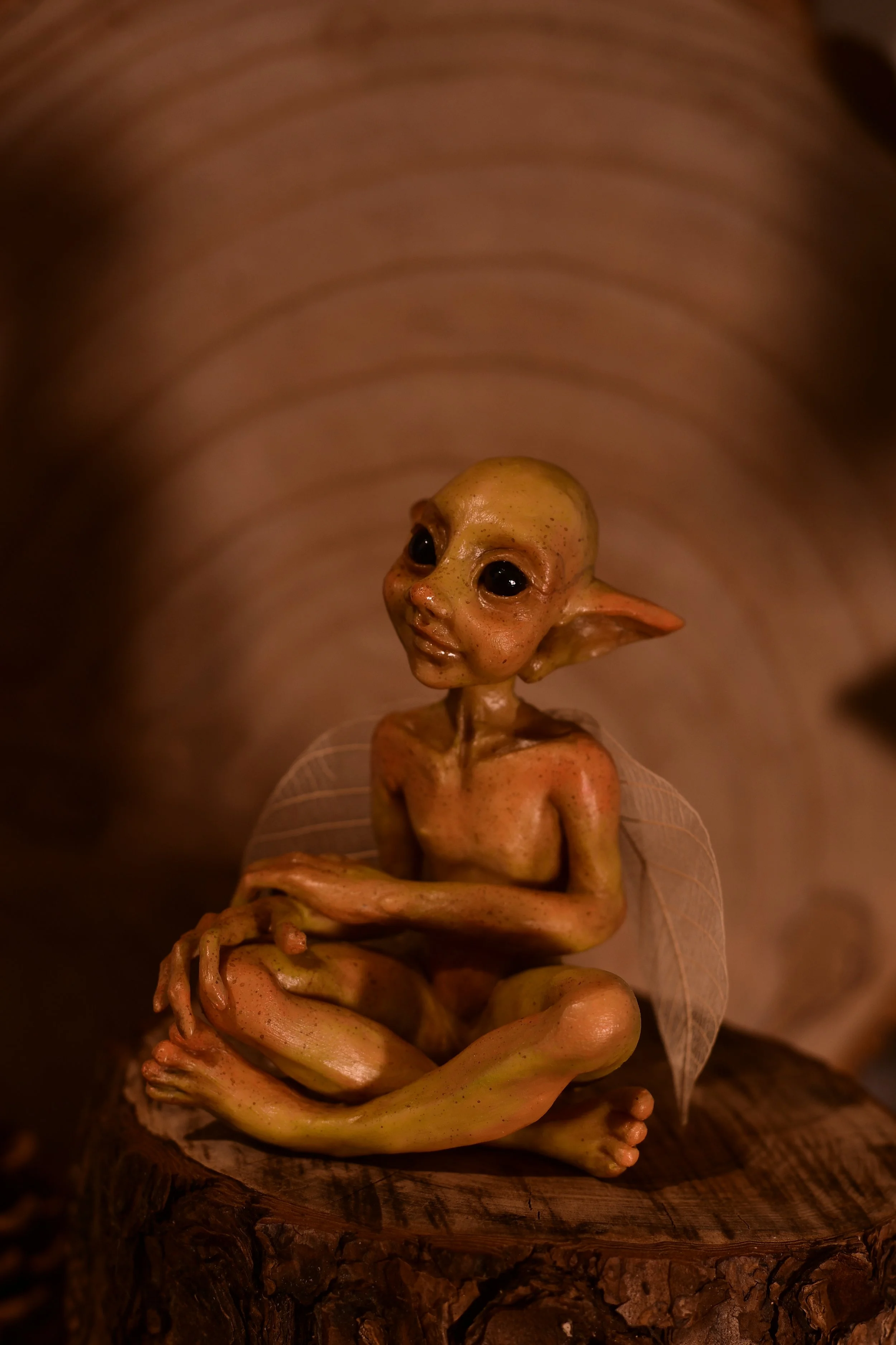 TFC_1217.JPG