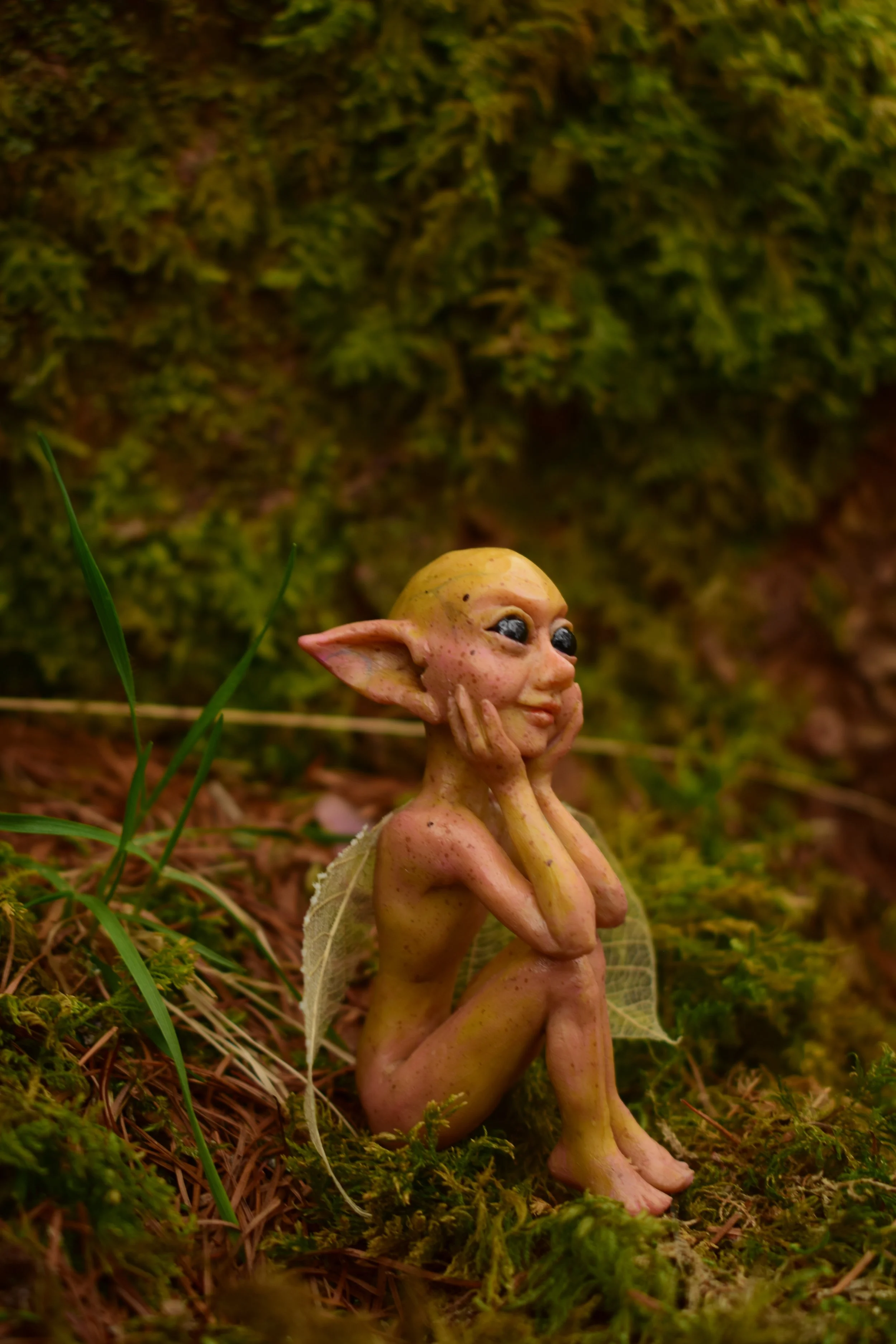 DSC_0767.JPG