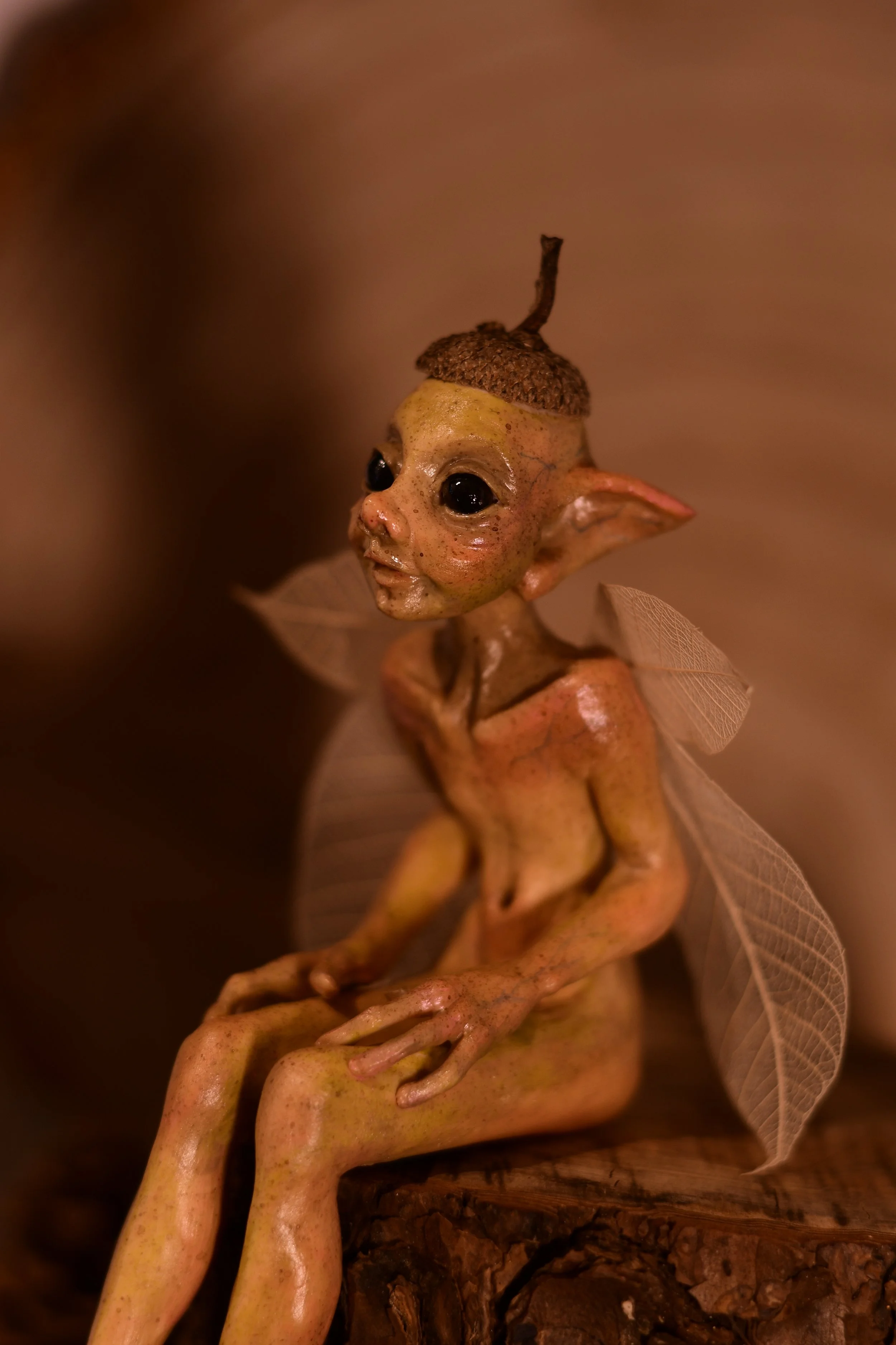 TFC_1214.JPG