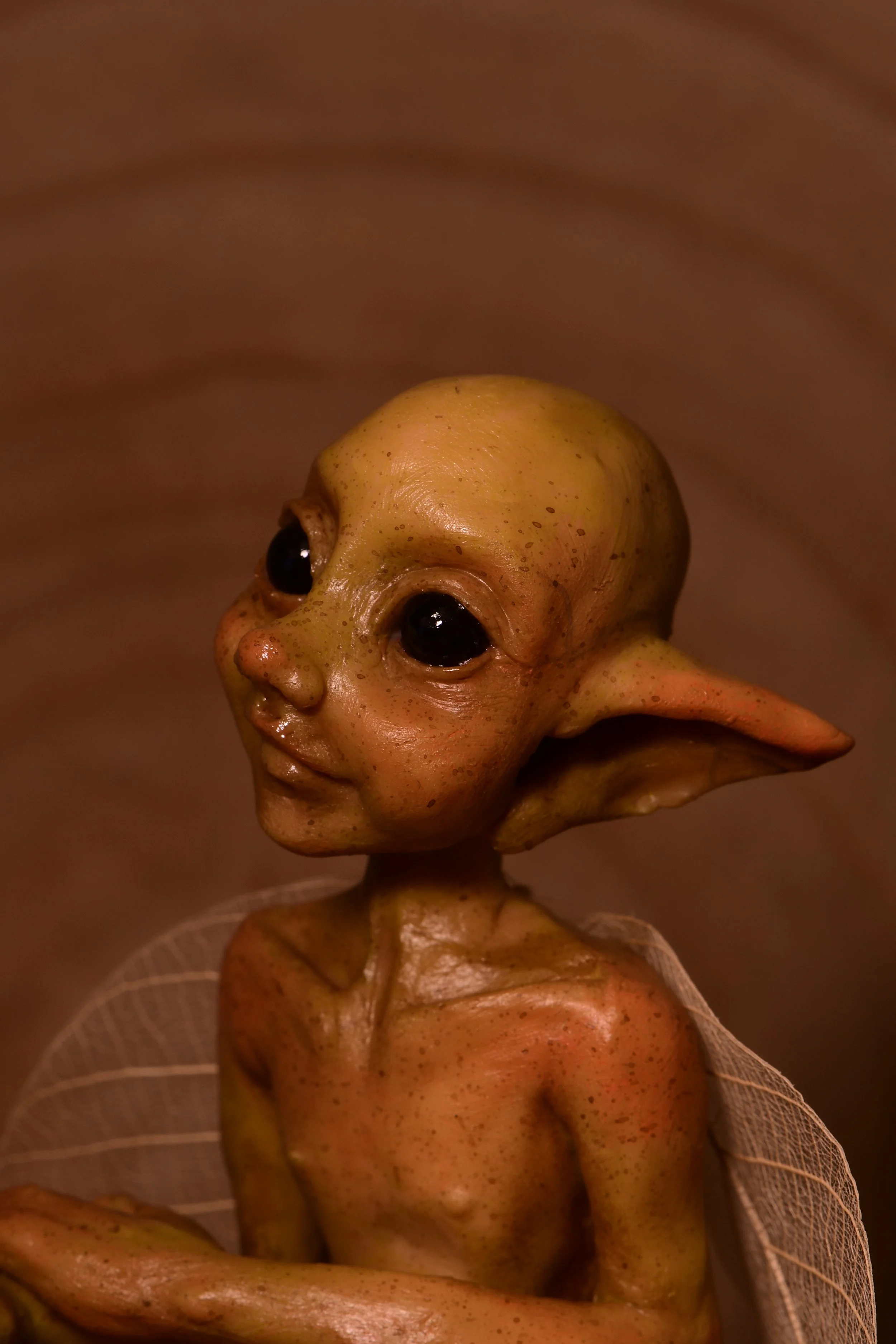 TFC_1228.JPG