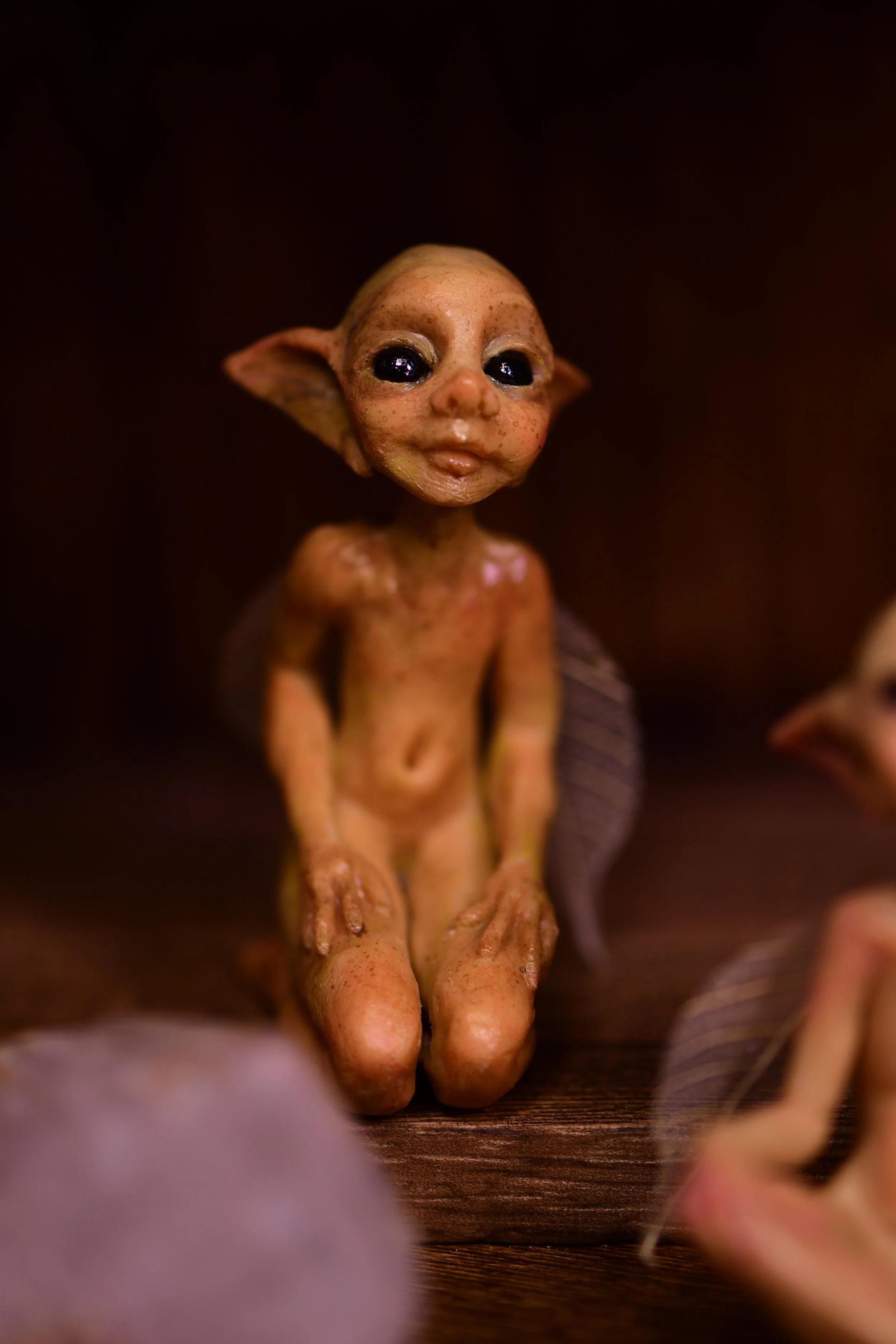 DSC_0403.JPG