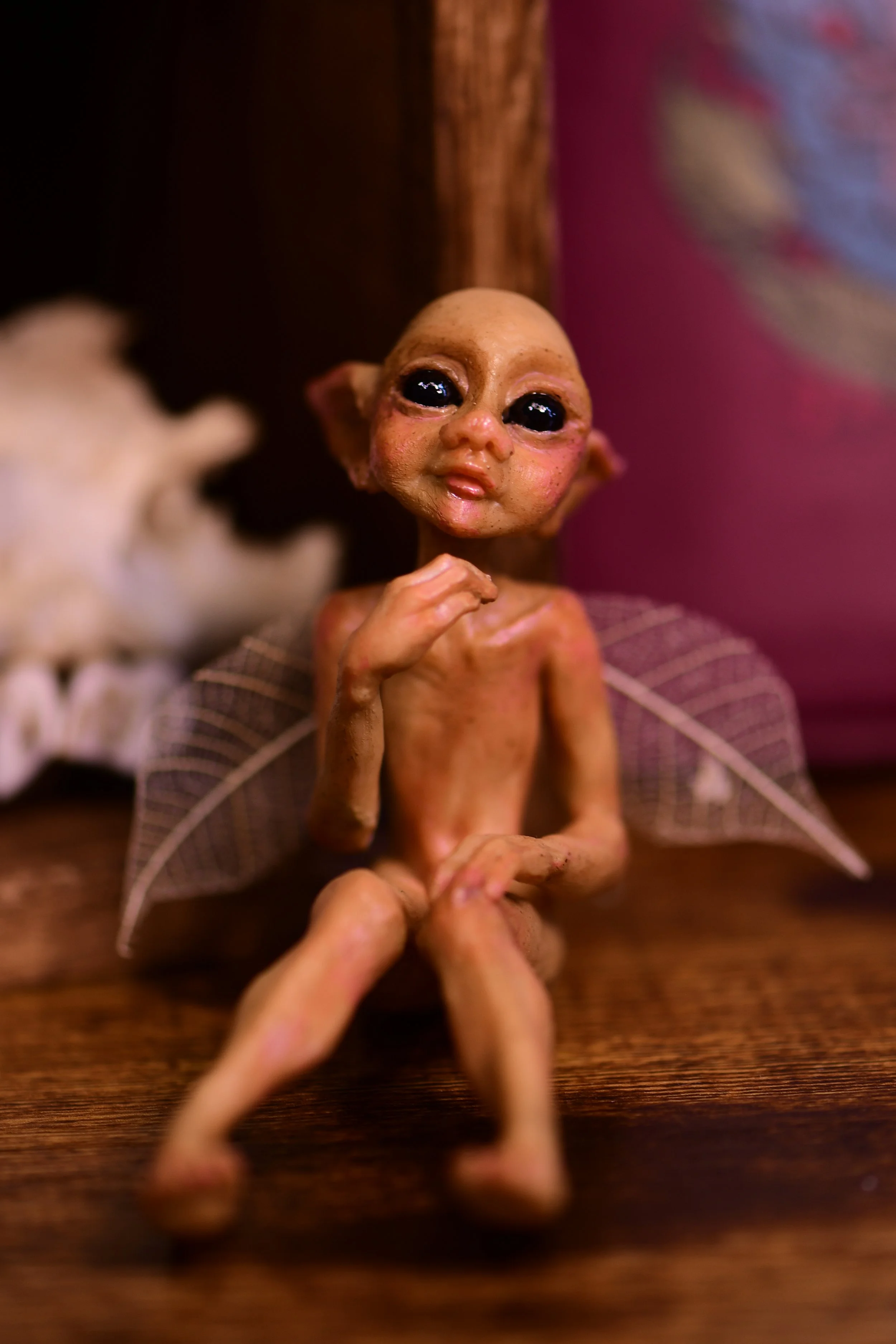 DSC_0399.JPG
