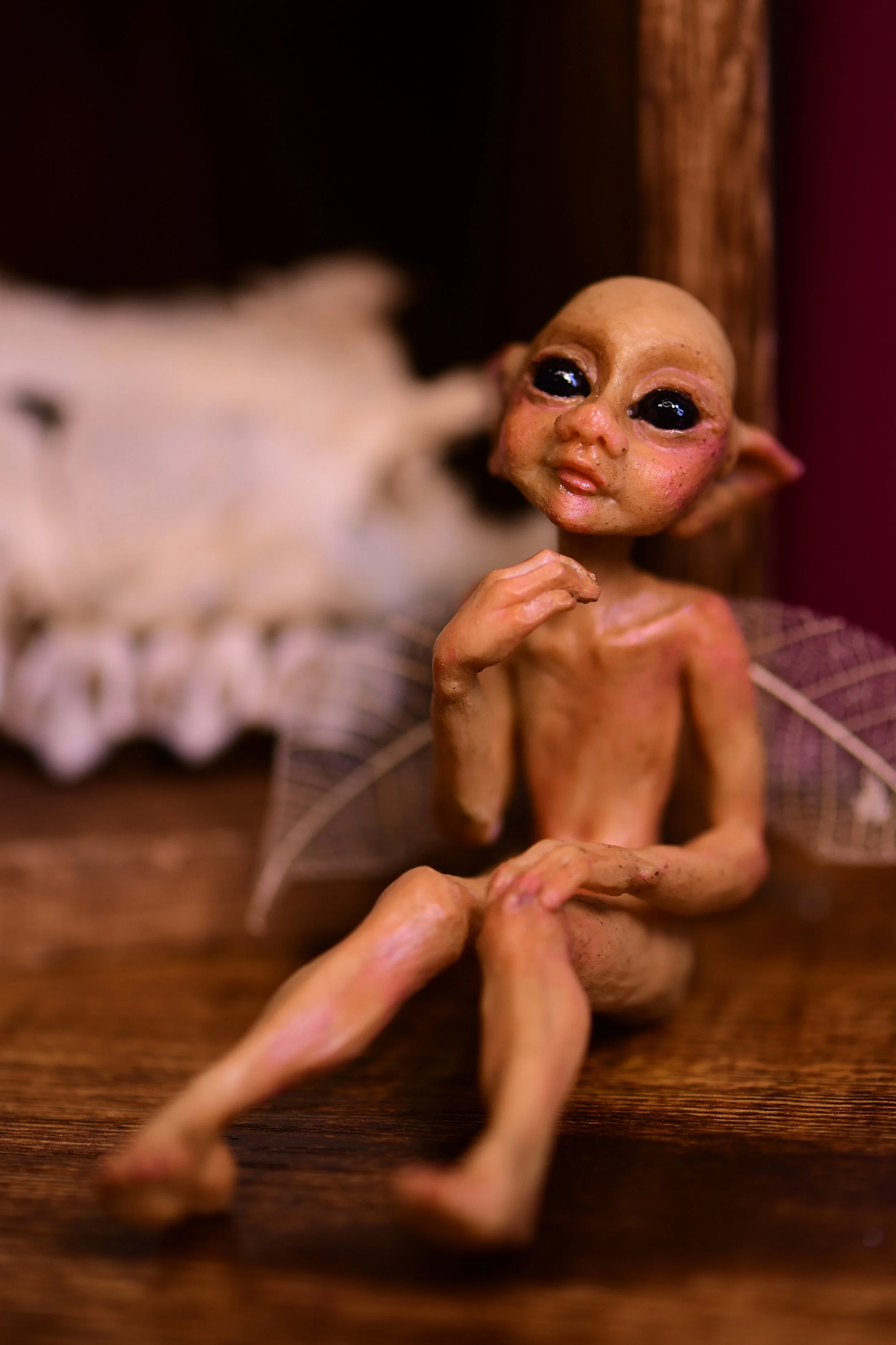 DSC_0405.JPG