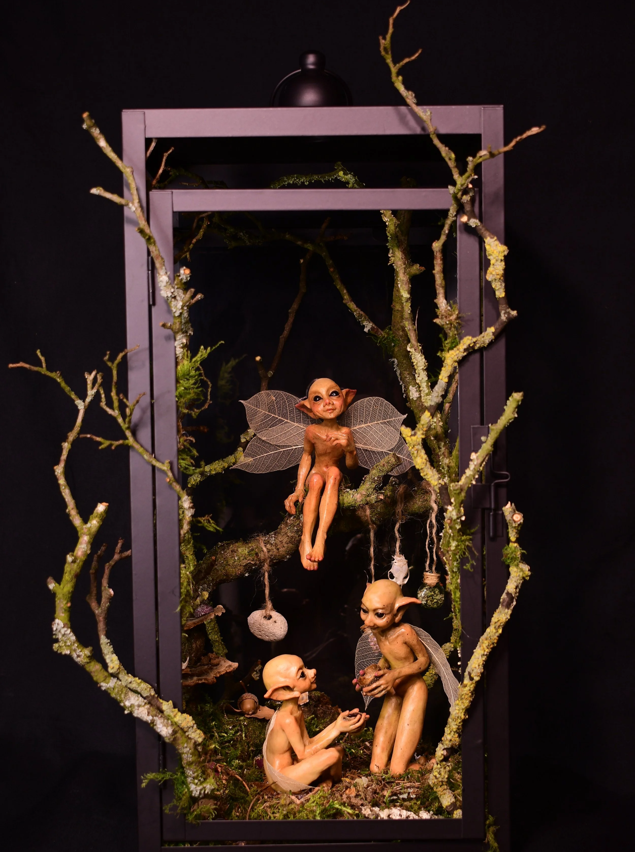 DSC_0465.png