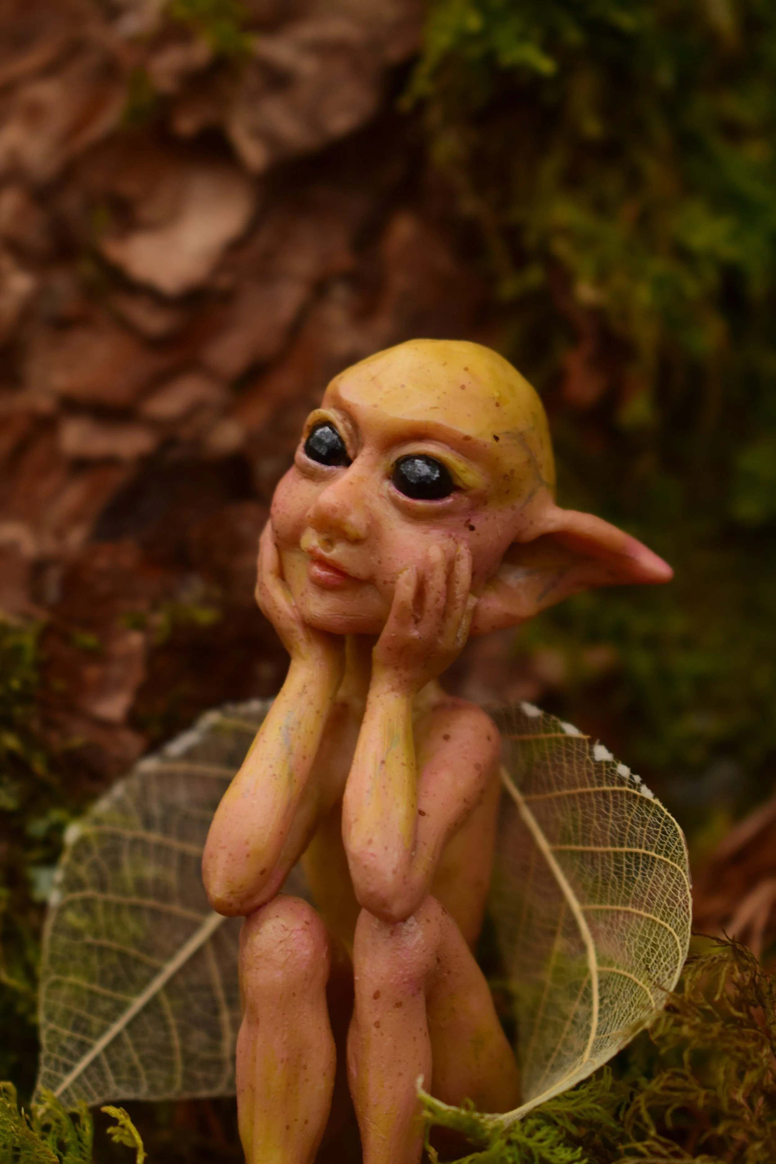 DSC_0752.JPG