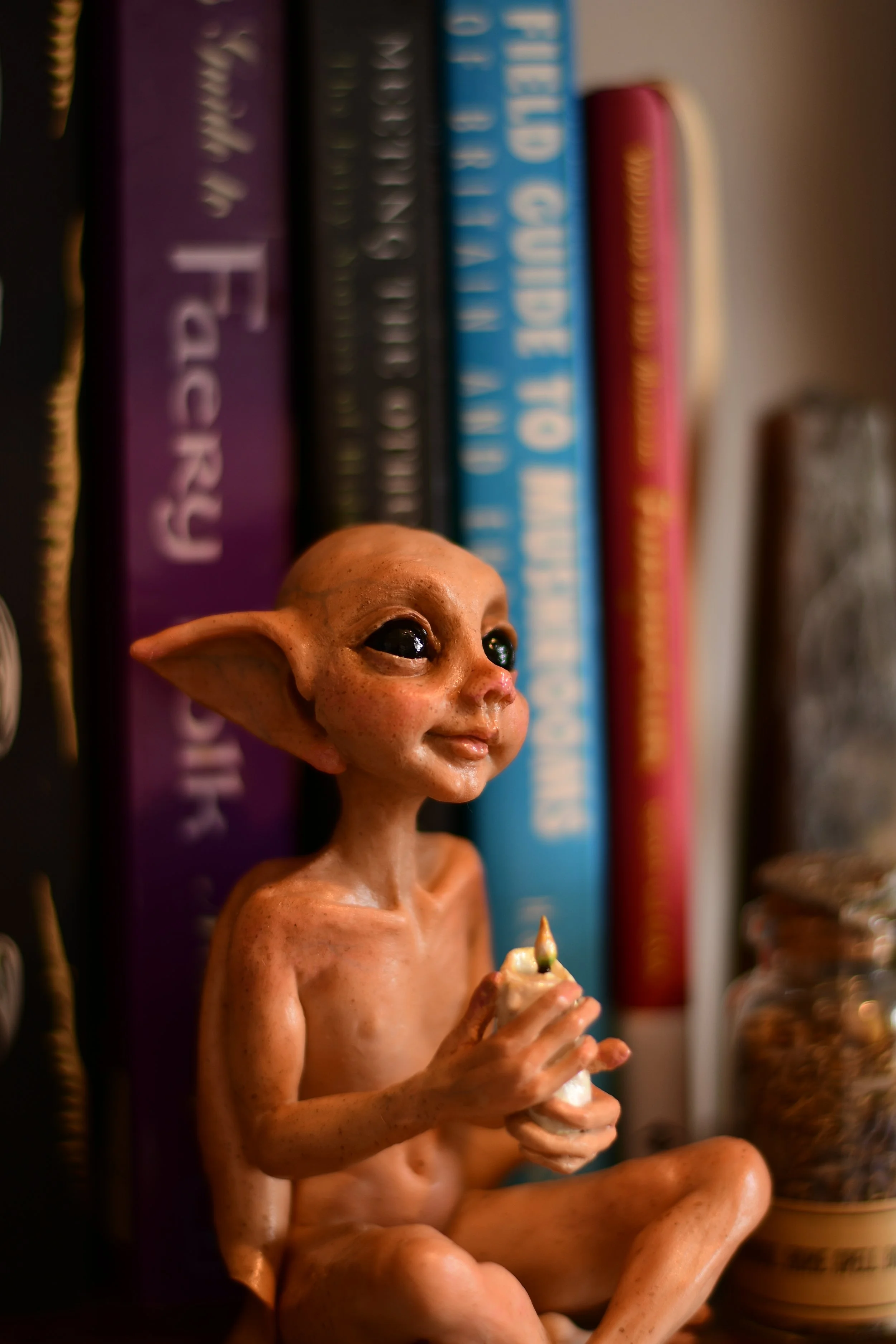 TFC_0571.JPG