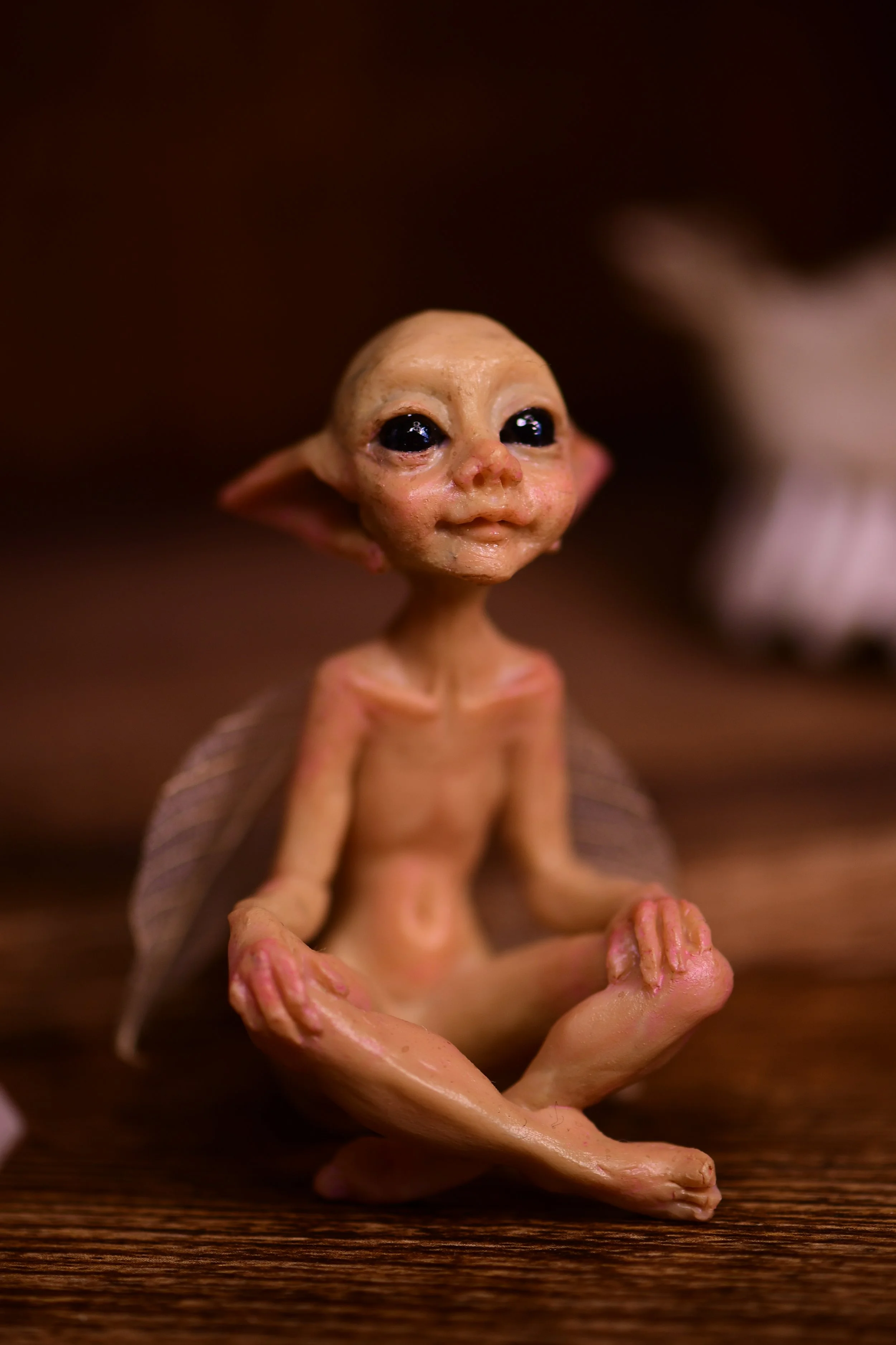 DSC_0398.JPG