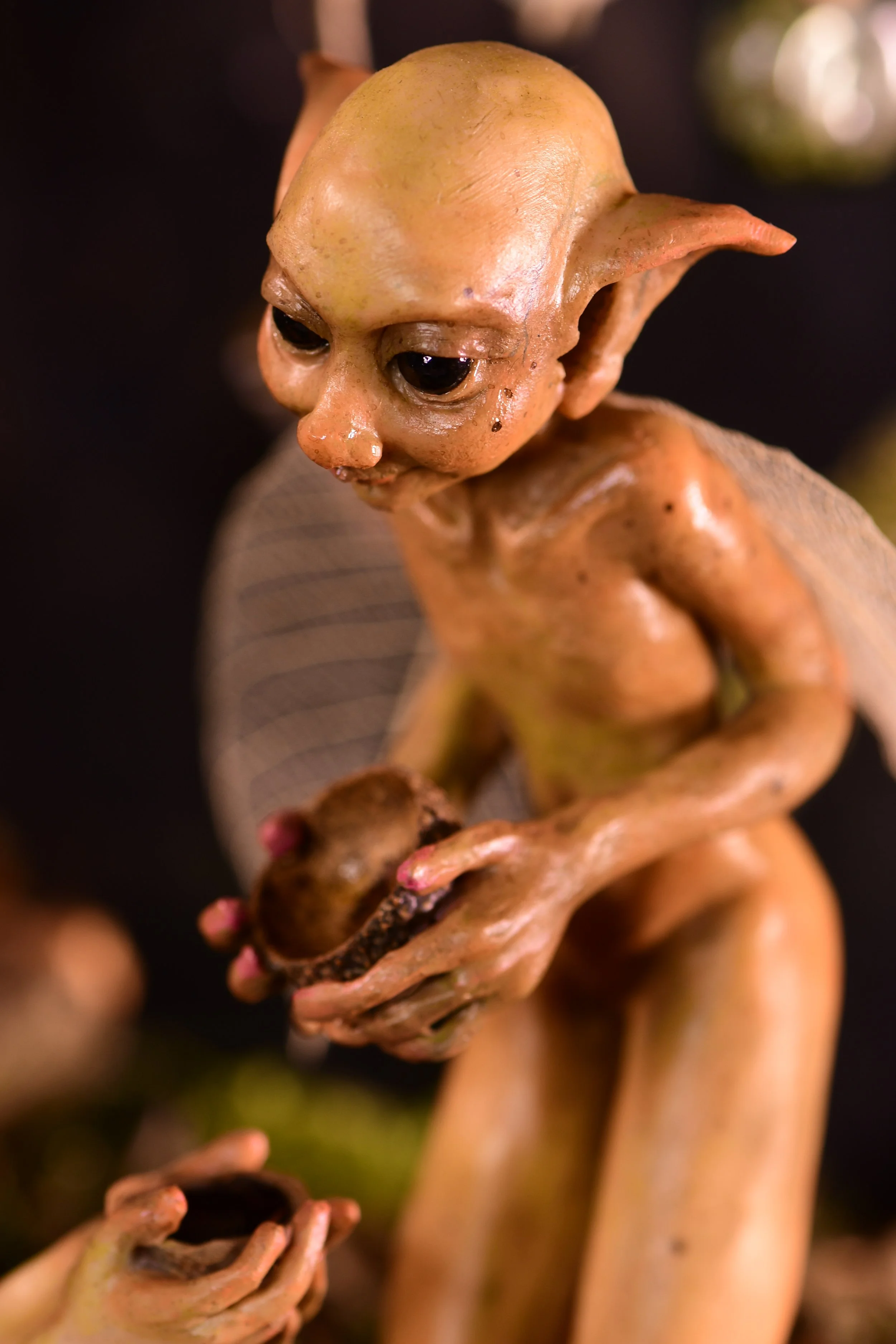 DSC_0456.JPG