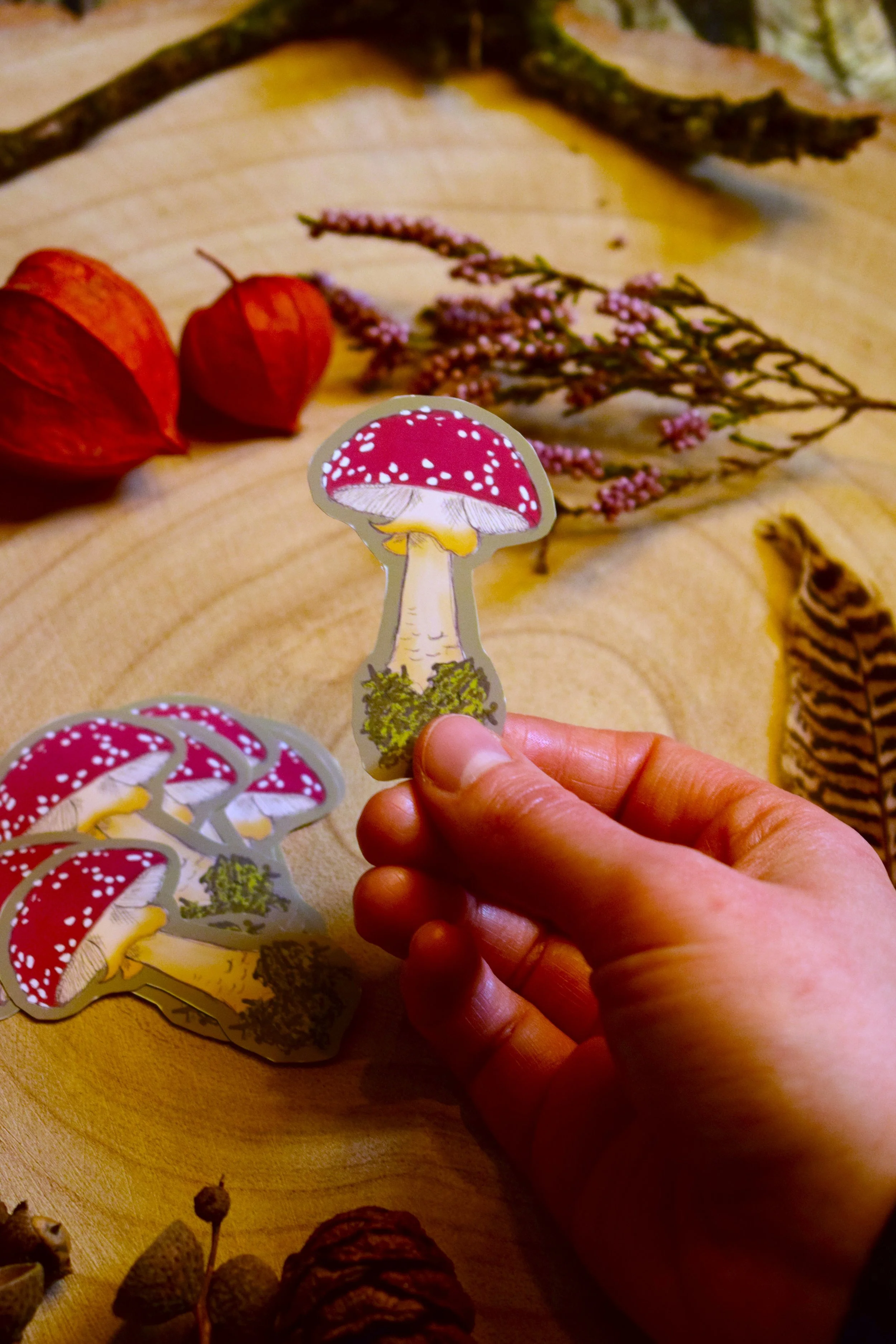 Fly Agaric Sticker