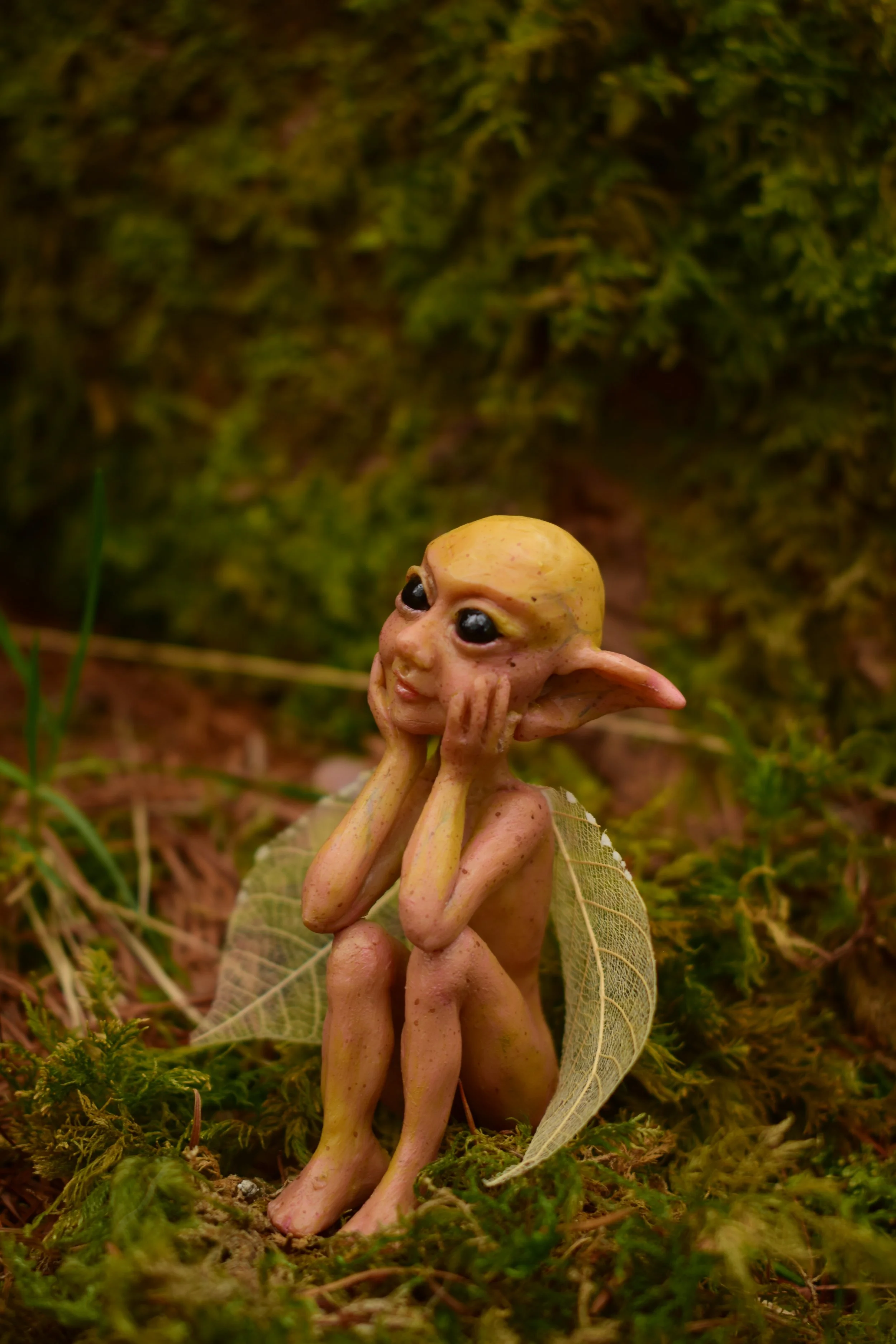 DSC_0770.JPG