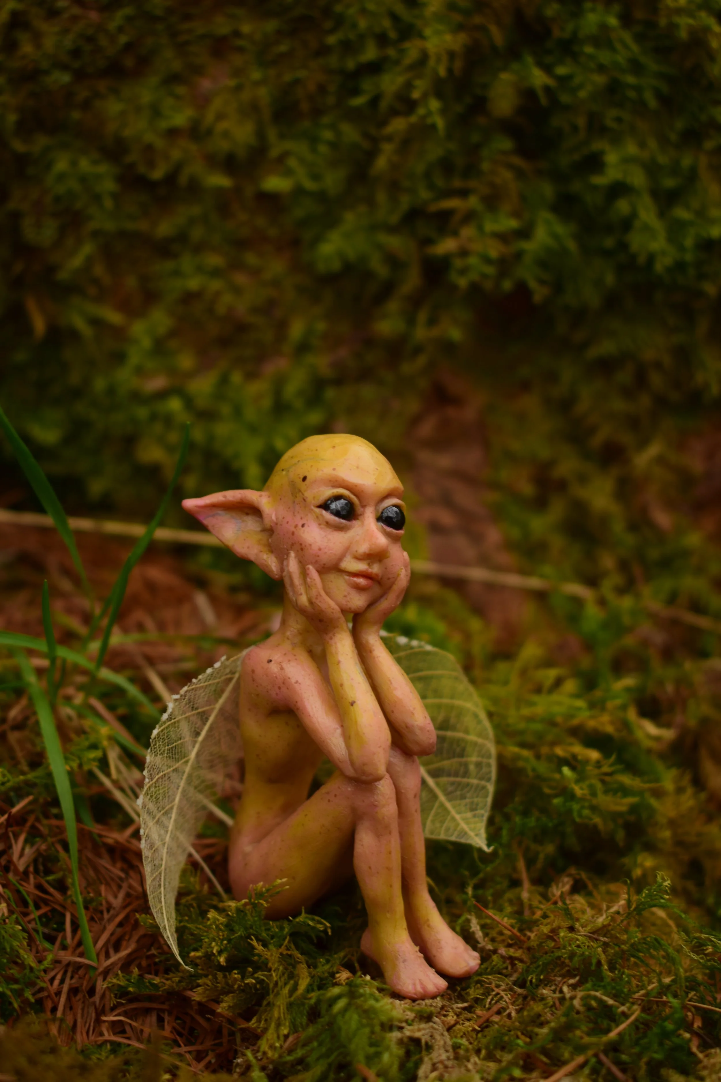 DSC_0766.JPG