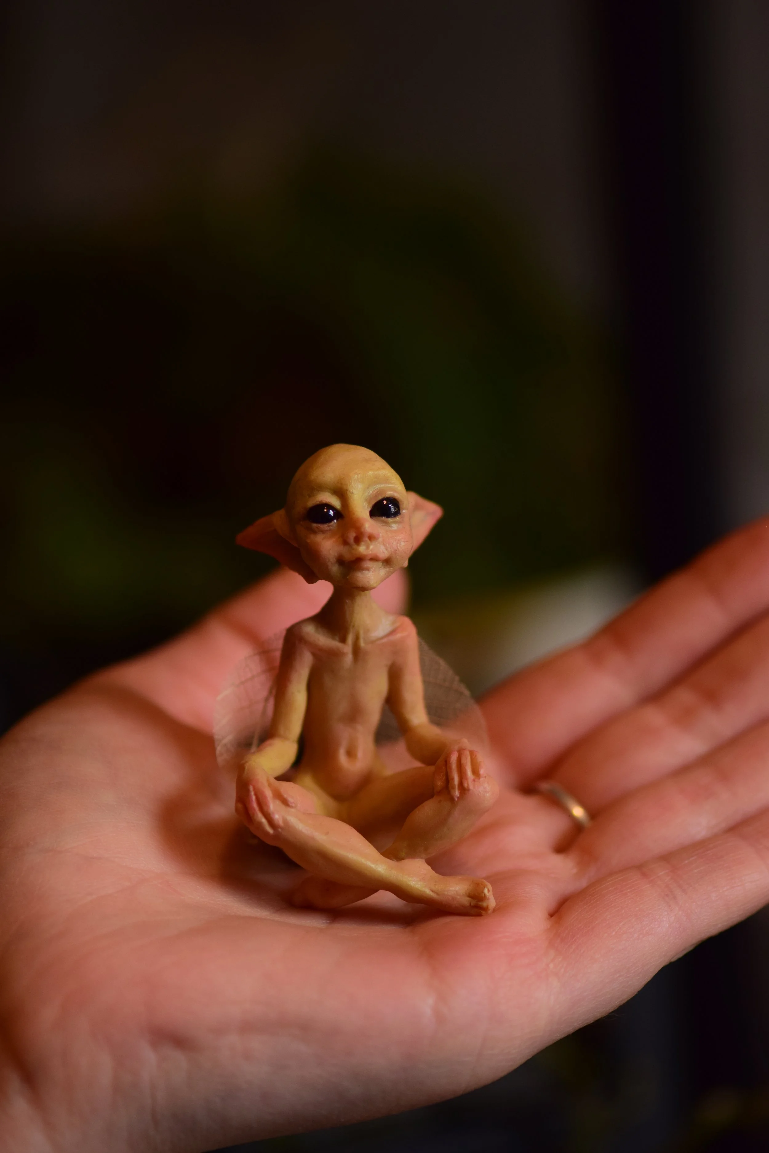 DSC_0894.JPG