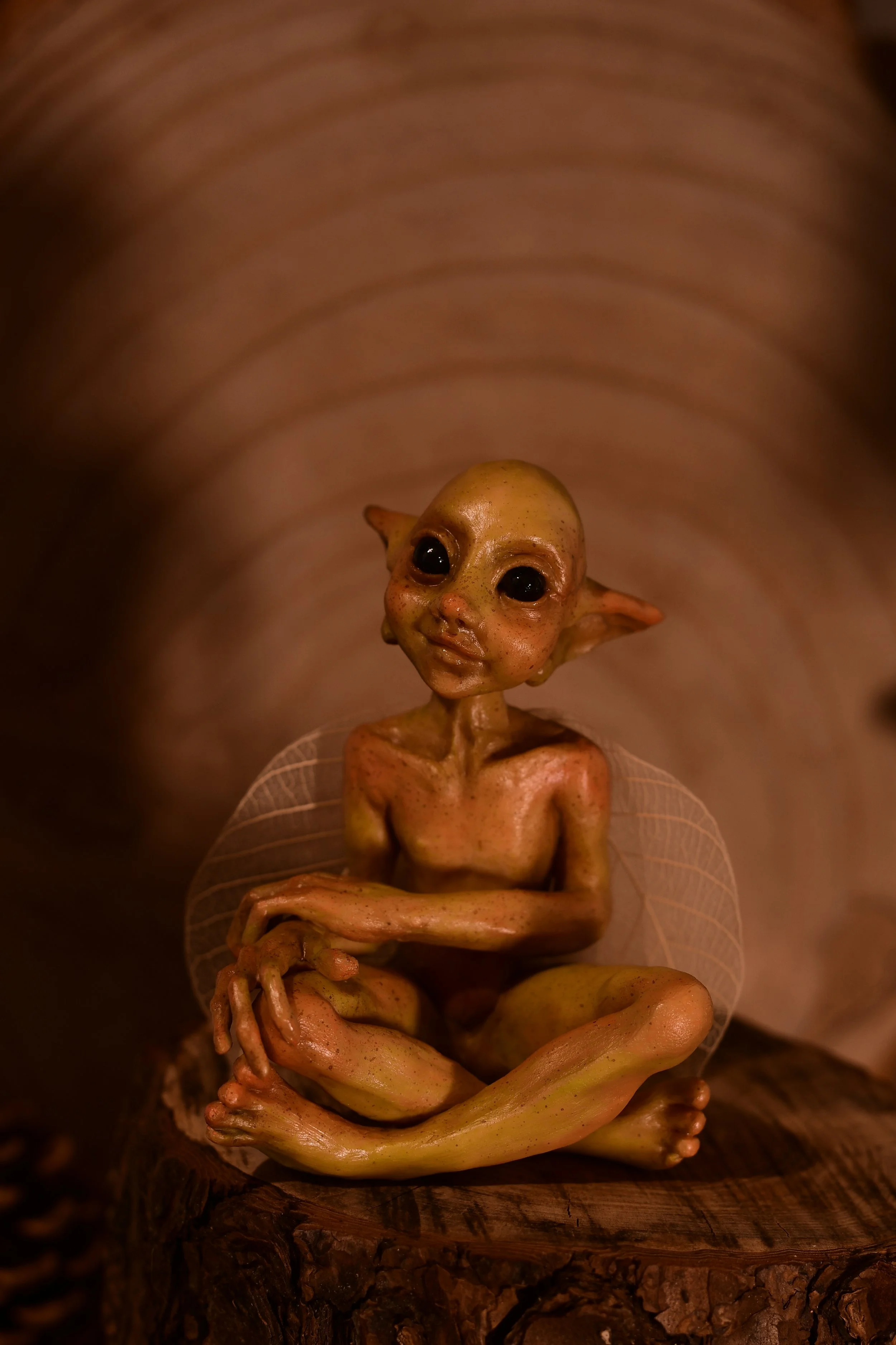 TFC_1216.JPG