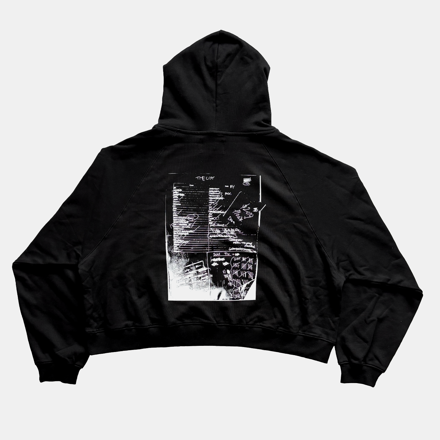 Hoodie Back.png